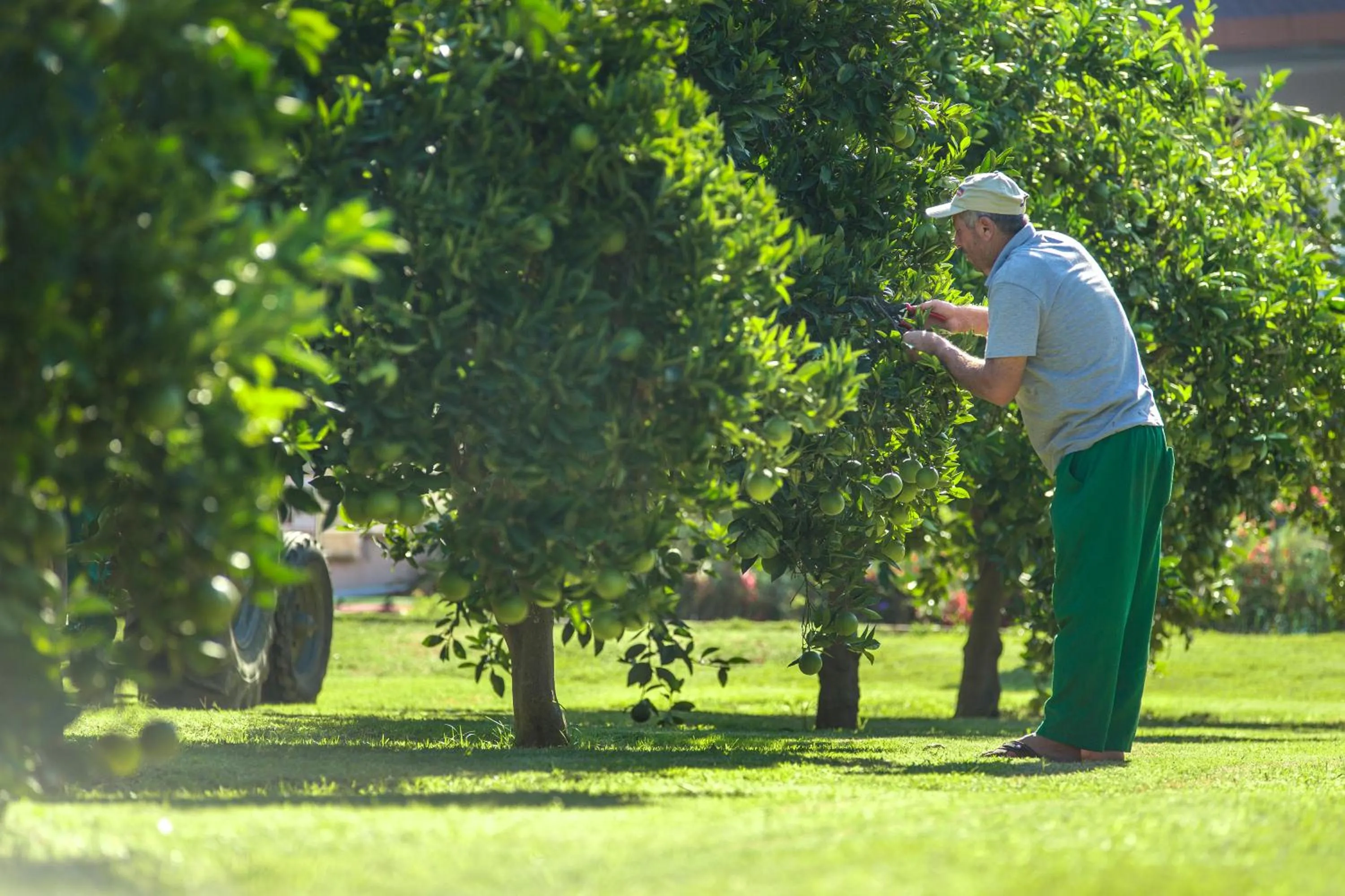 Day in Lonicera World - Ultra All Inclusive