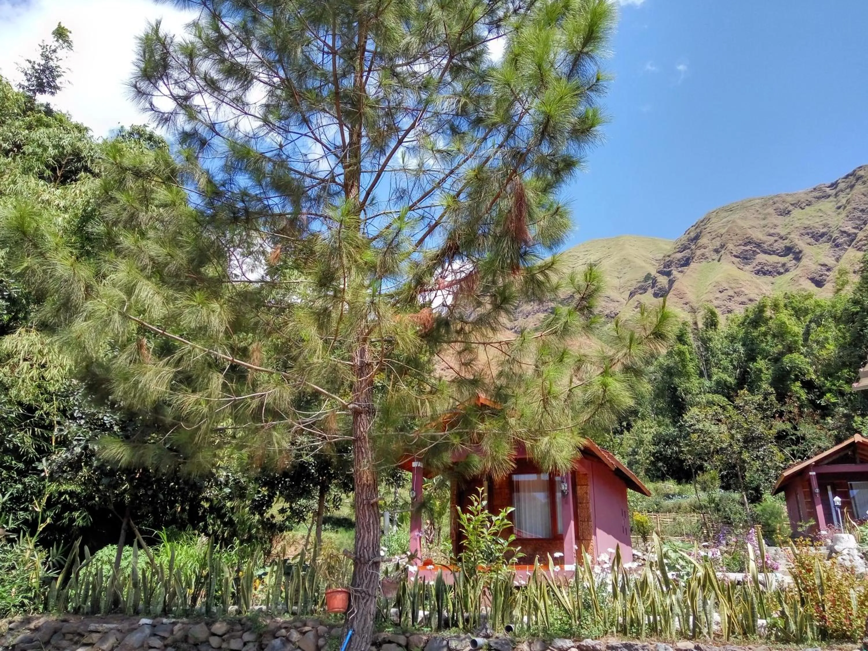 Garden view in Sembalun Kita Cottage