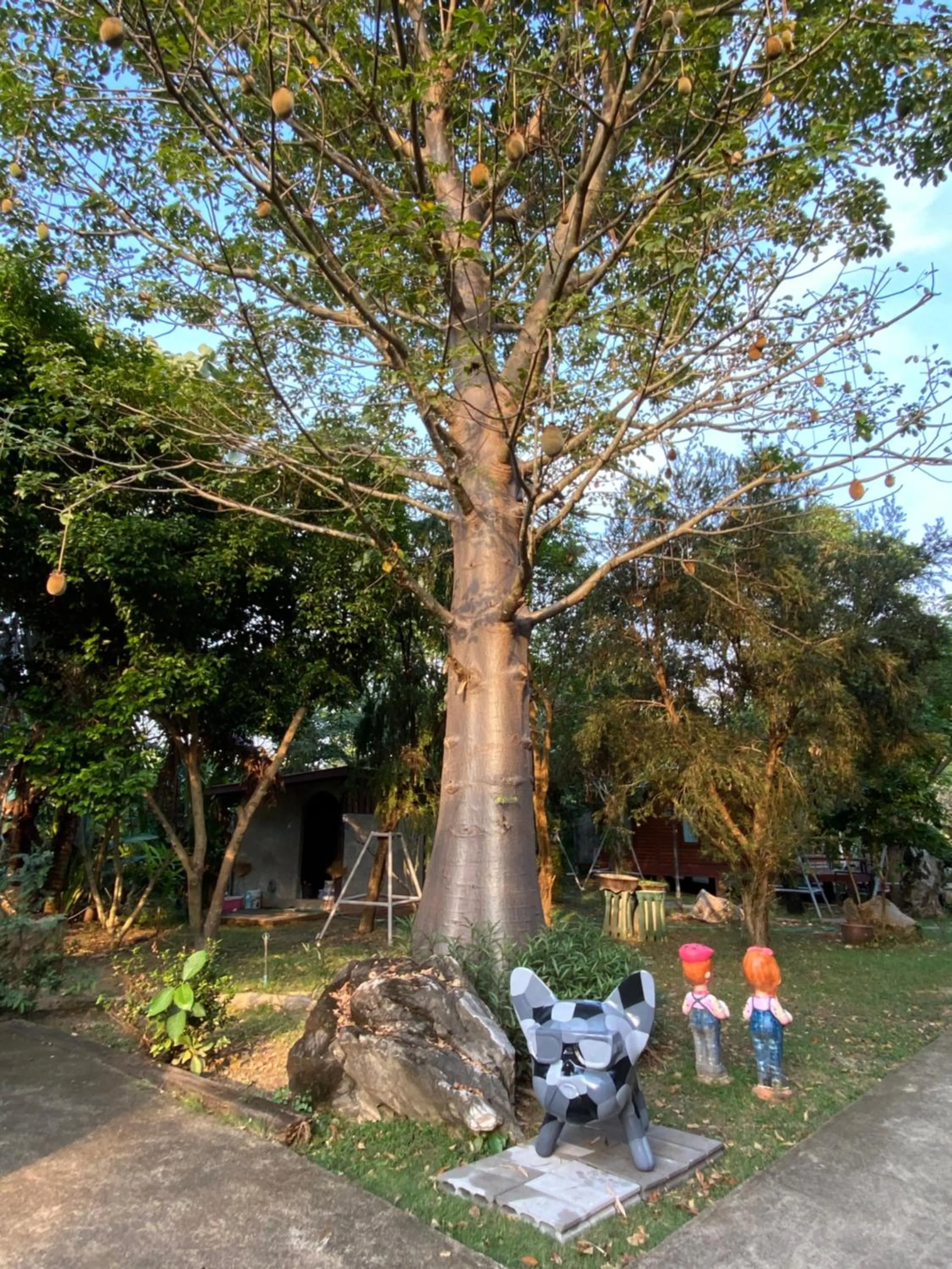 Nung Ni Bang Khon Thi Resort