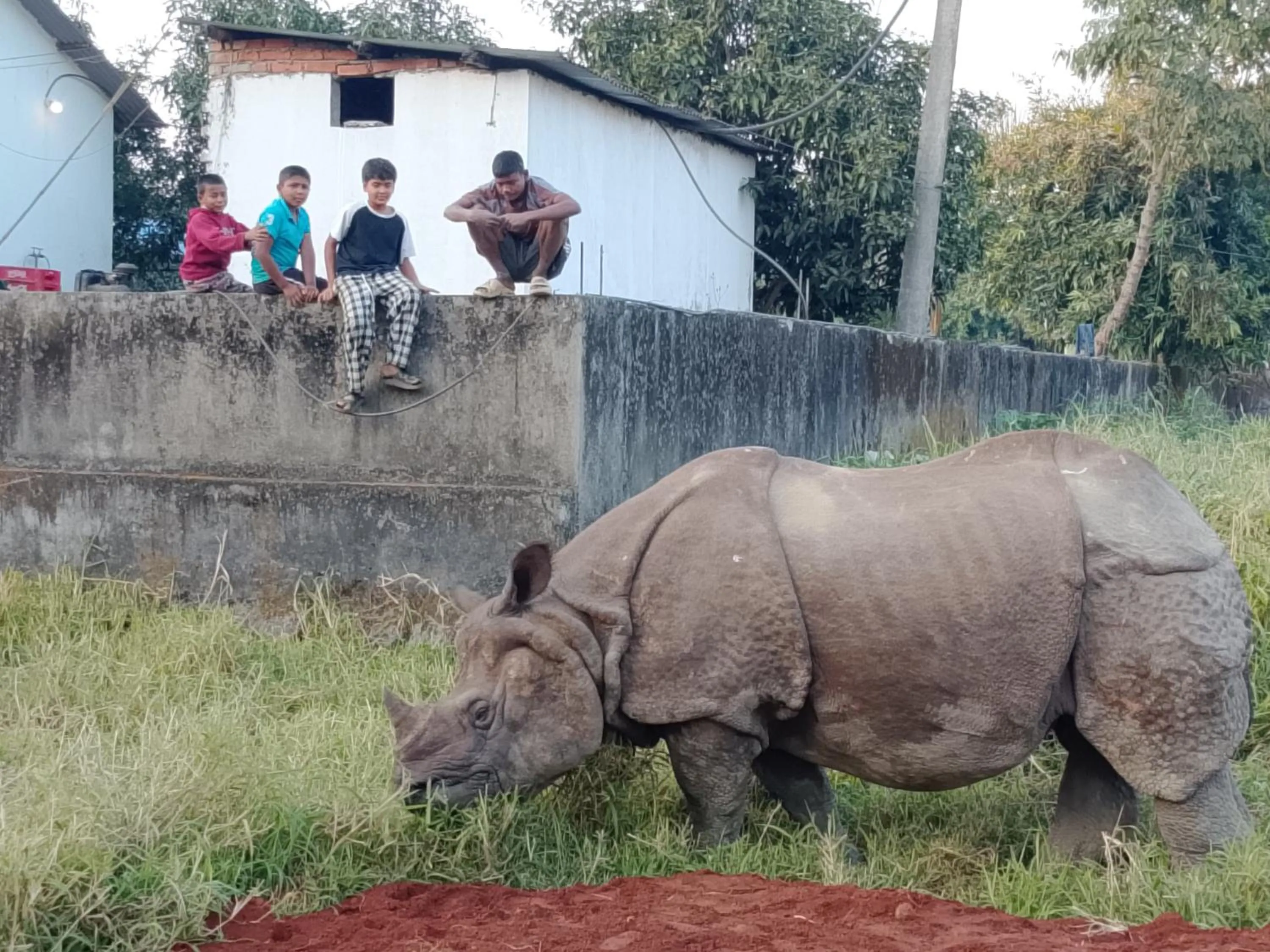 Activities in Hotel Rhino Land-Sauraha Family Home