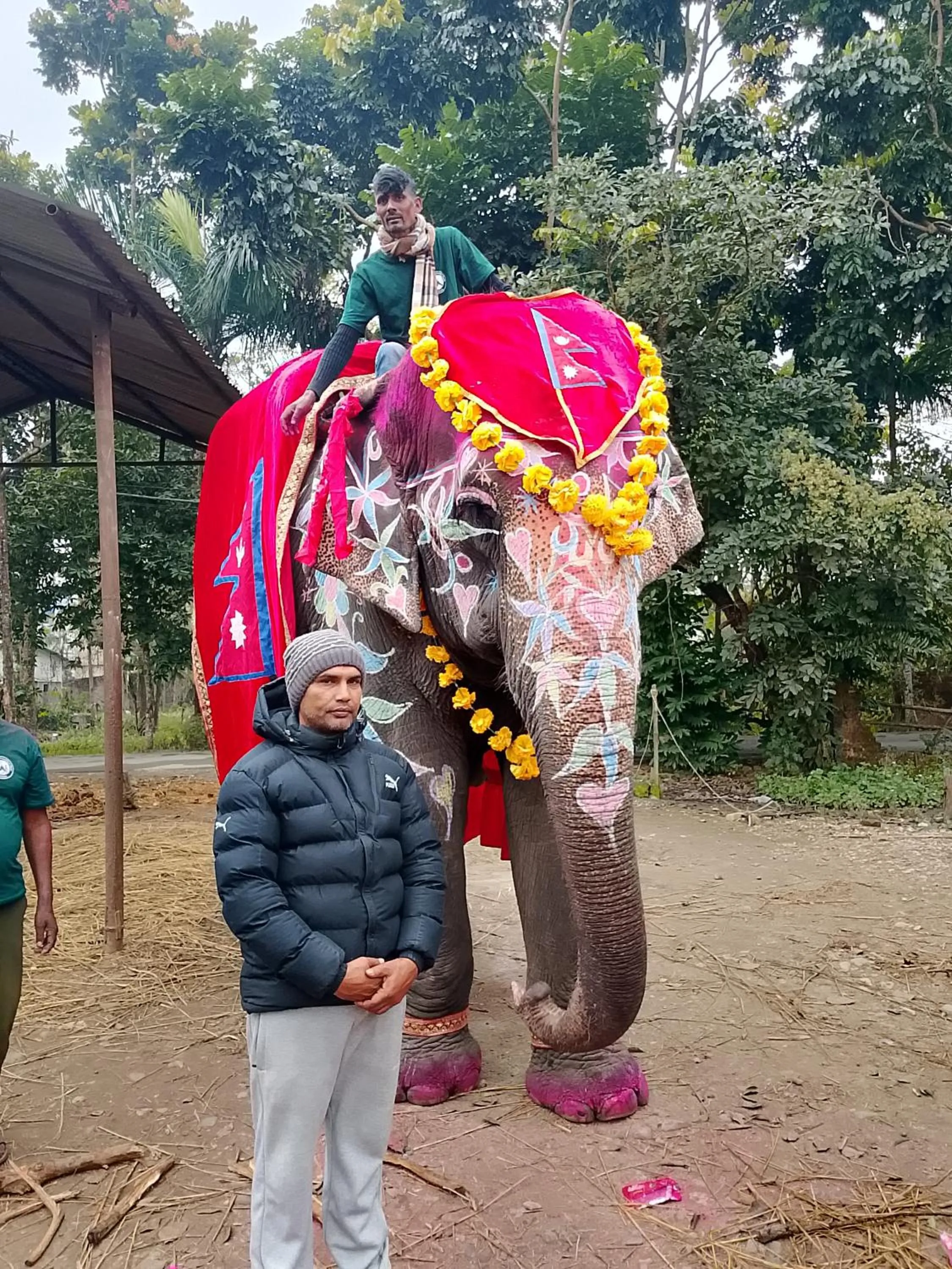 Animals in Hotel Rhino Land-Sauraha Family Home