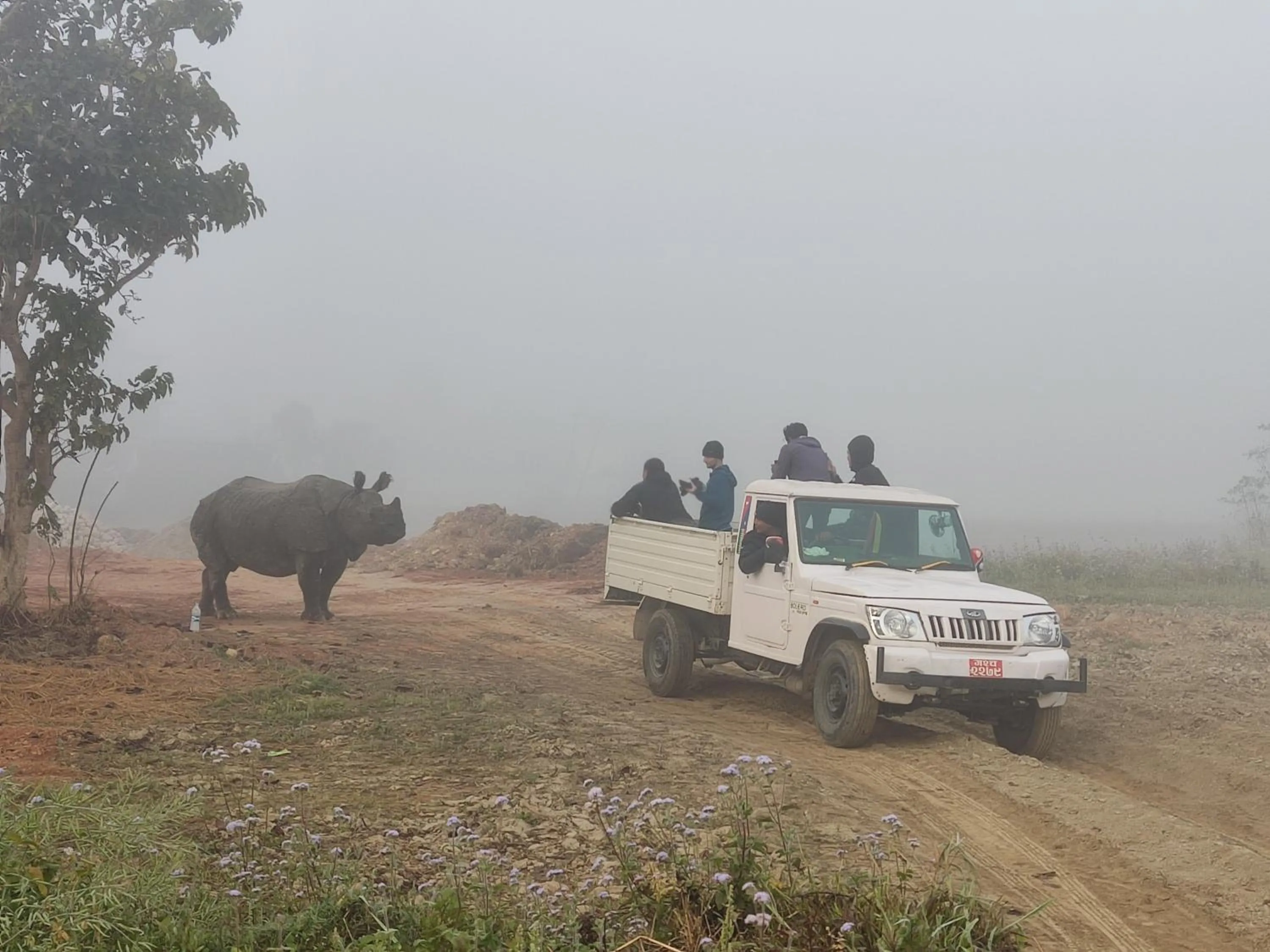 Natural landscape in Hotel Rhino Land-Sauraha Family Home