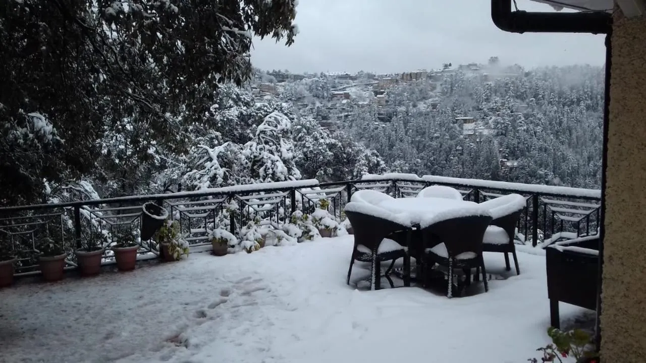 Winter in The Oaktree House