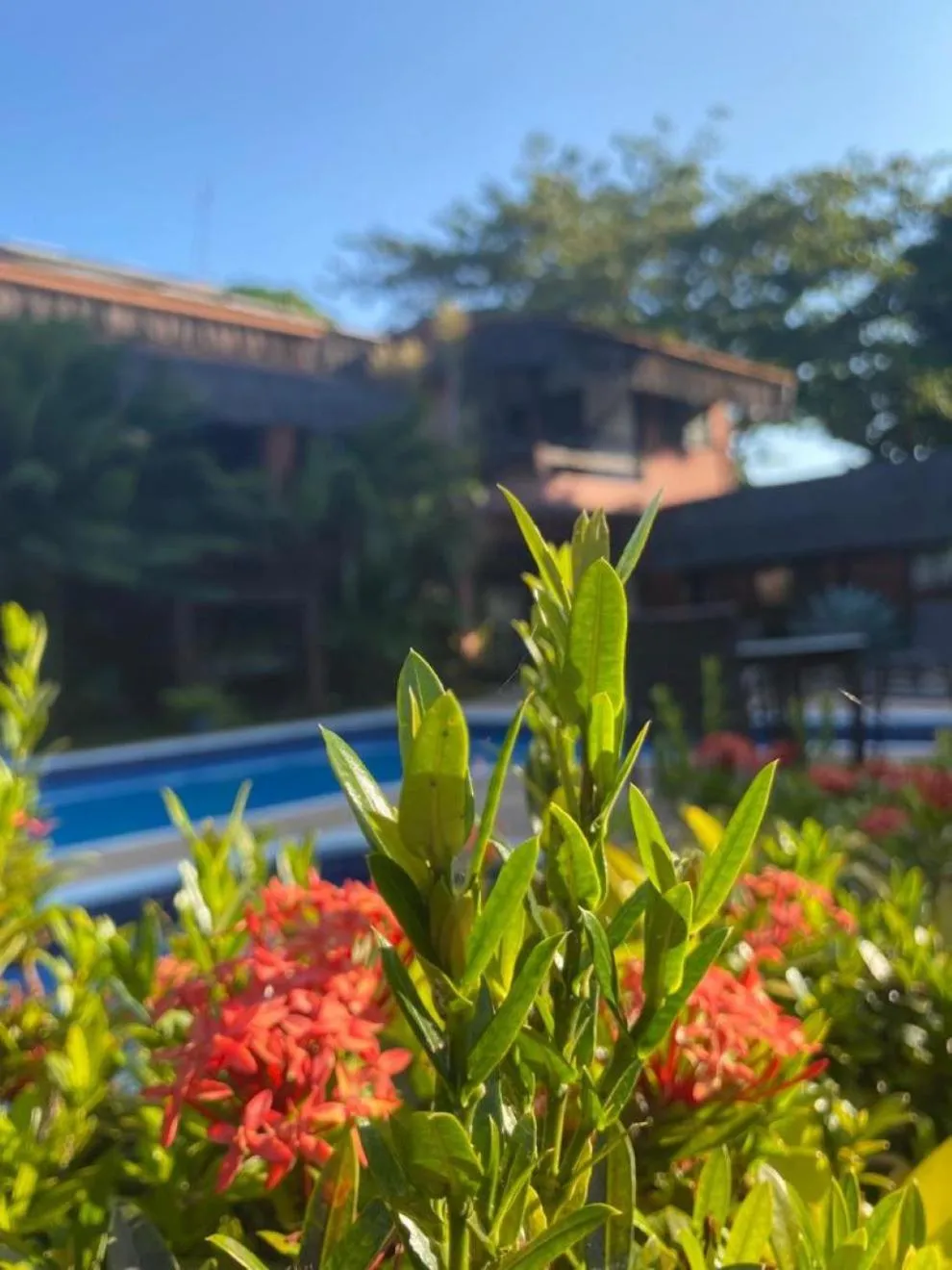 Garden view in Pousada Saudosa Maloca