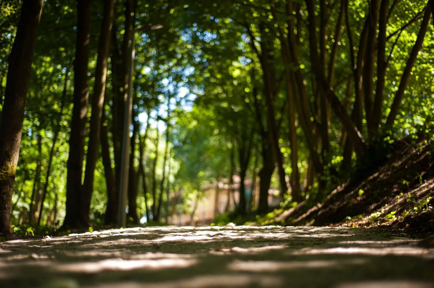 Natural landscape in Hotel Edison Poznań Lotnisko Ławica