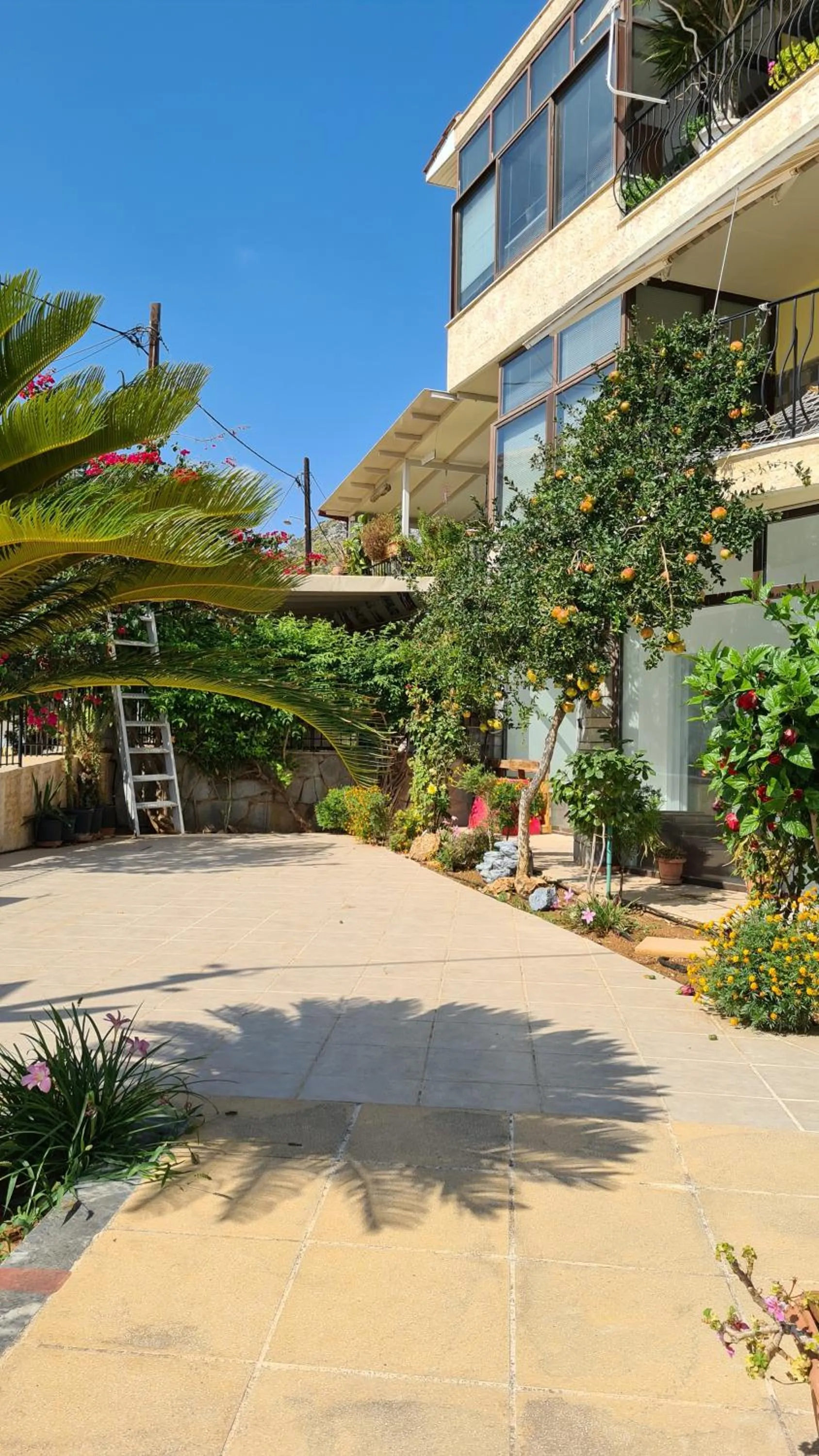 Facade/entrance in Villa George - Family Holidays