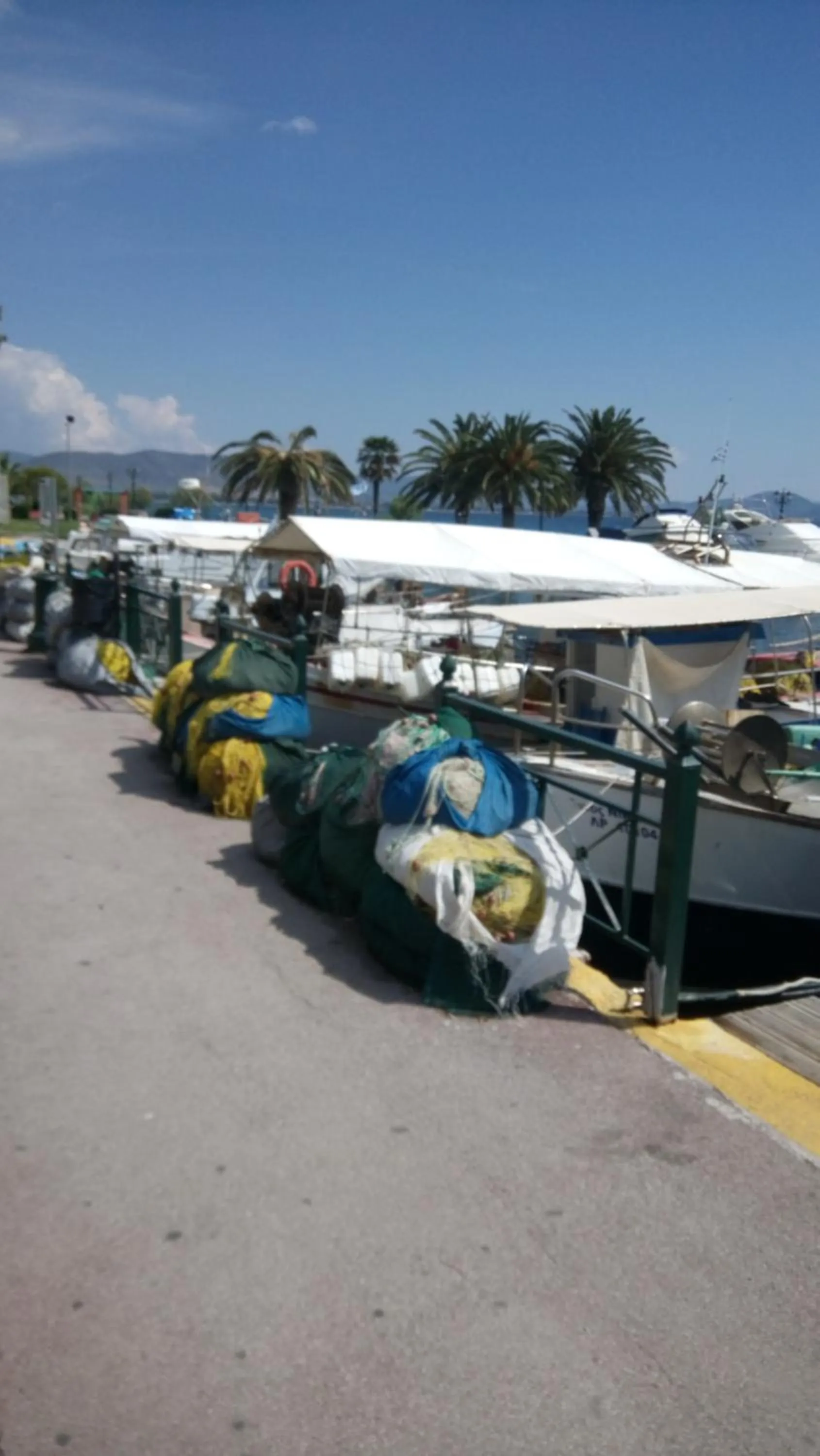 Fishing in Villa George - Family Holidays