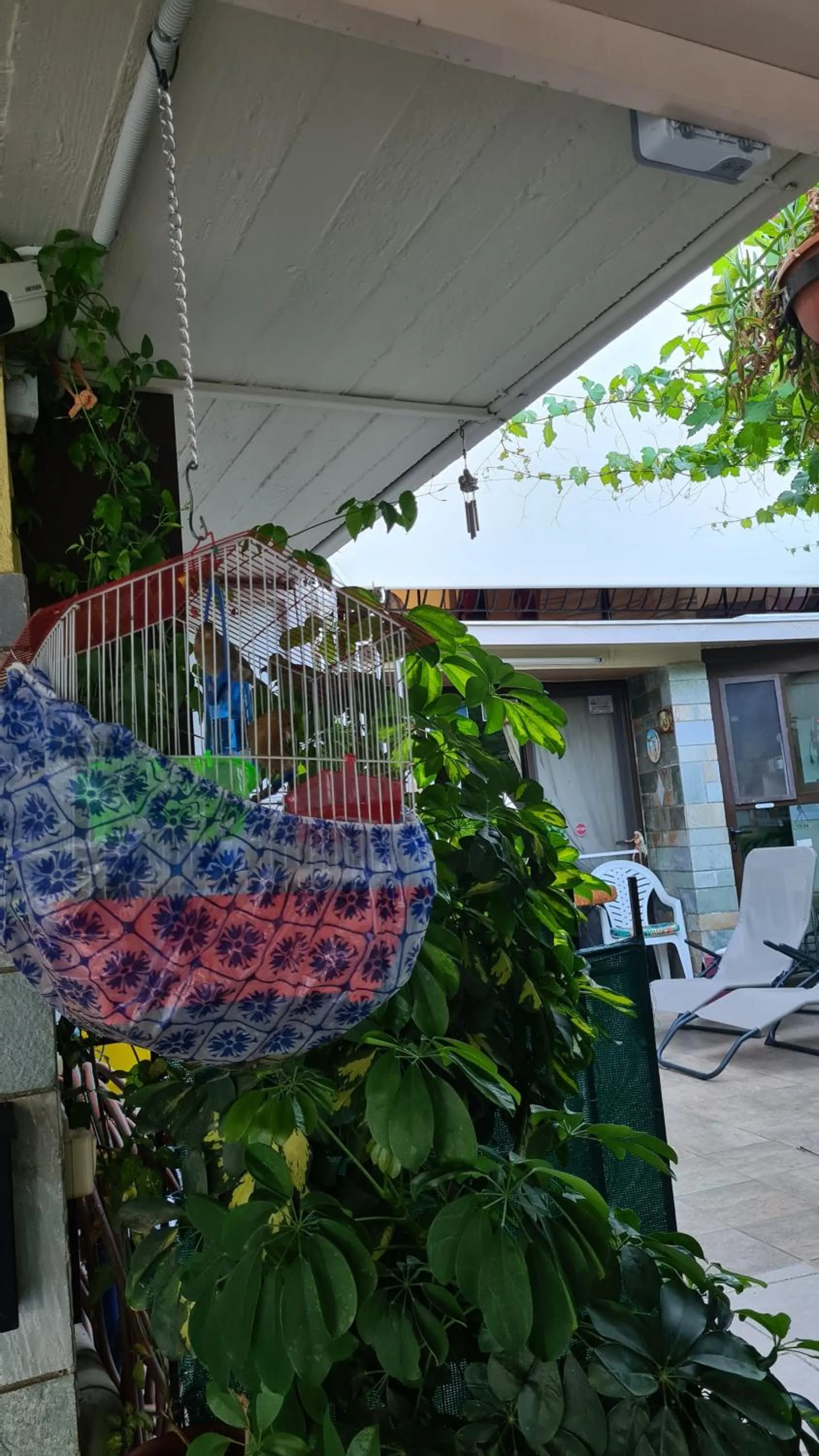 Property building in Villa George - Family Holidays