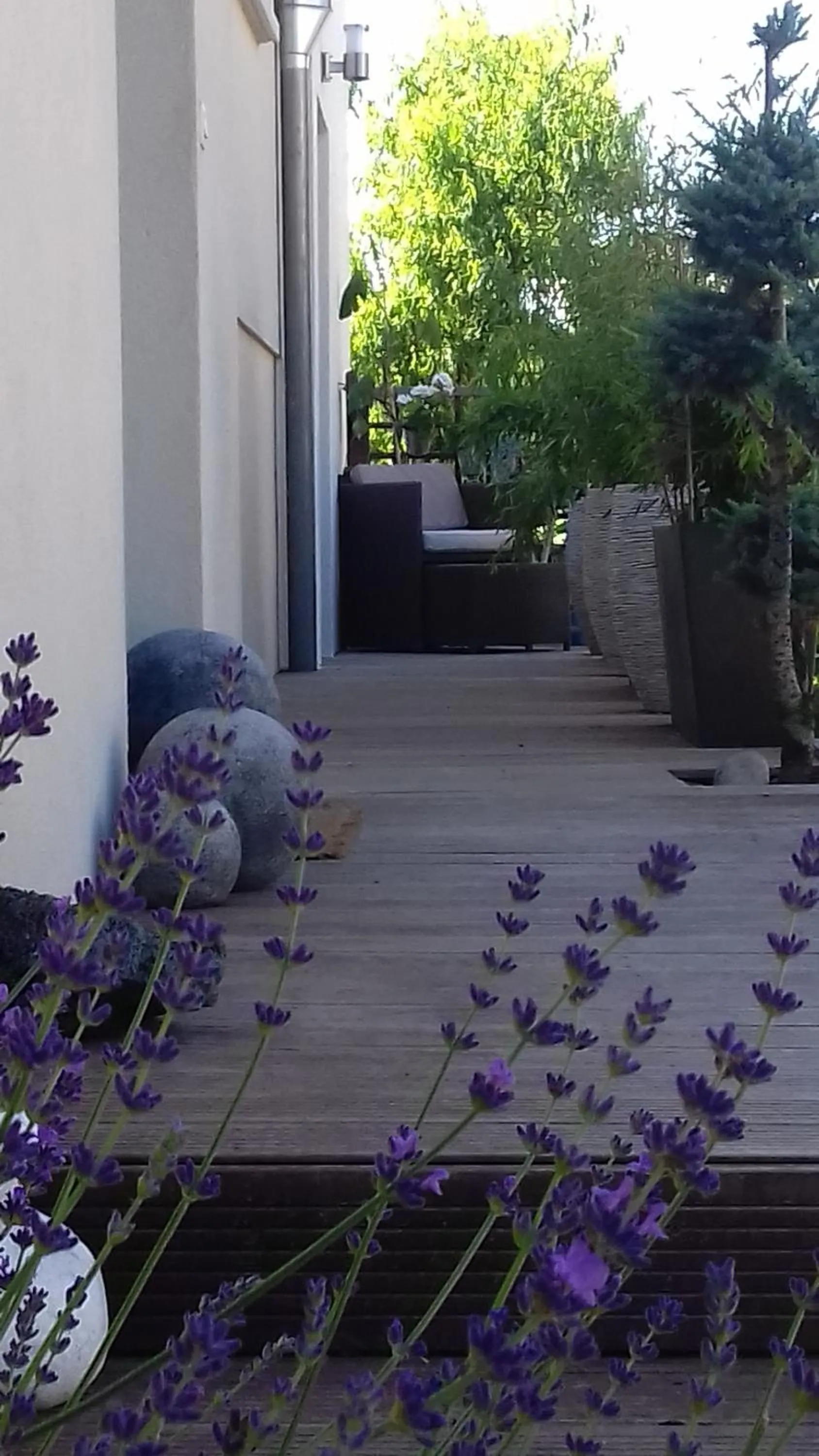 Property building in La Maison D'ayona