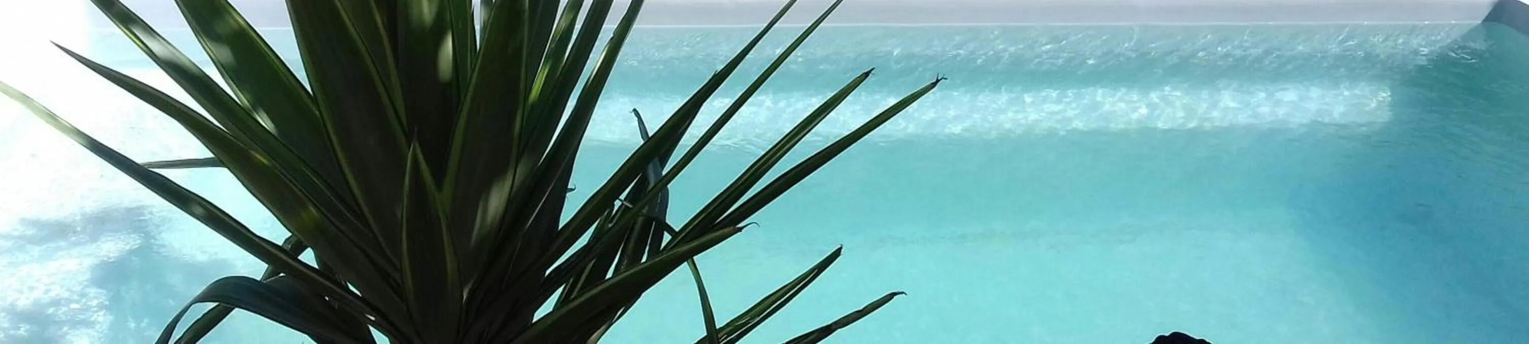 Swimming pool in La Maison D'ayona