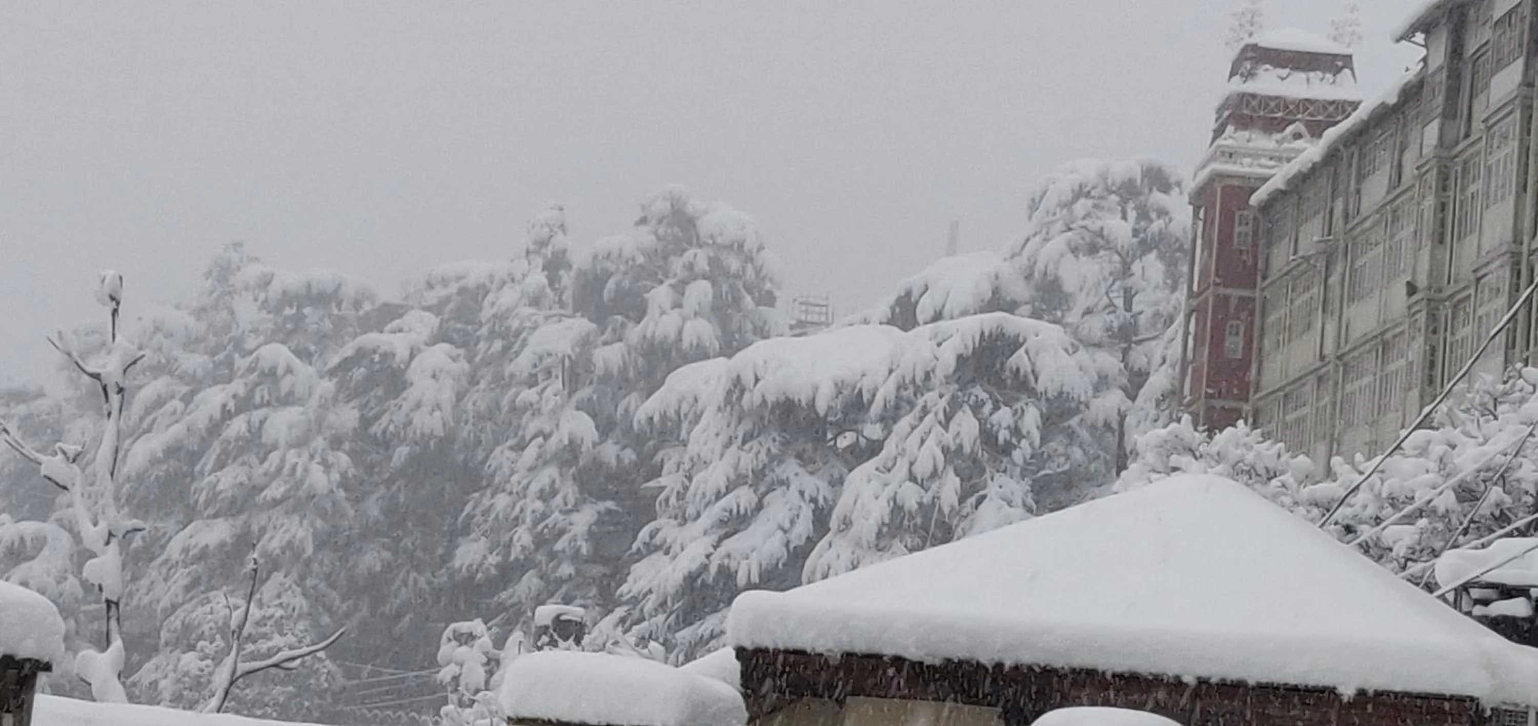 Winter in The Thistle Lodge