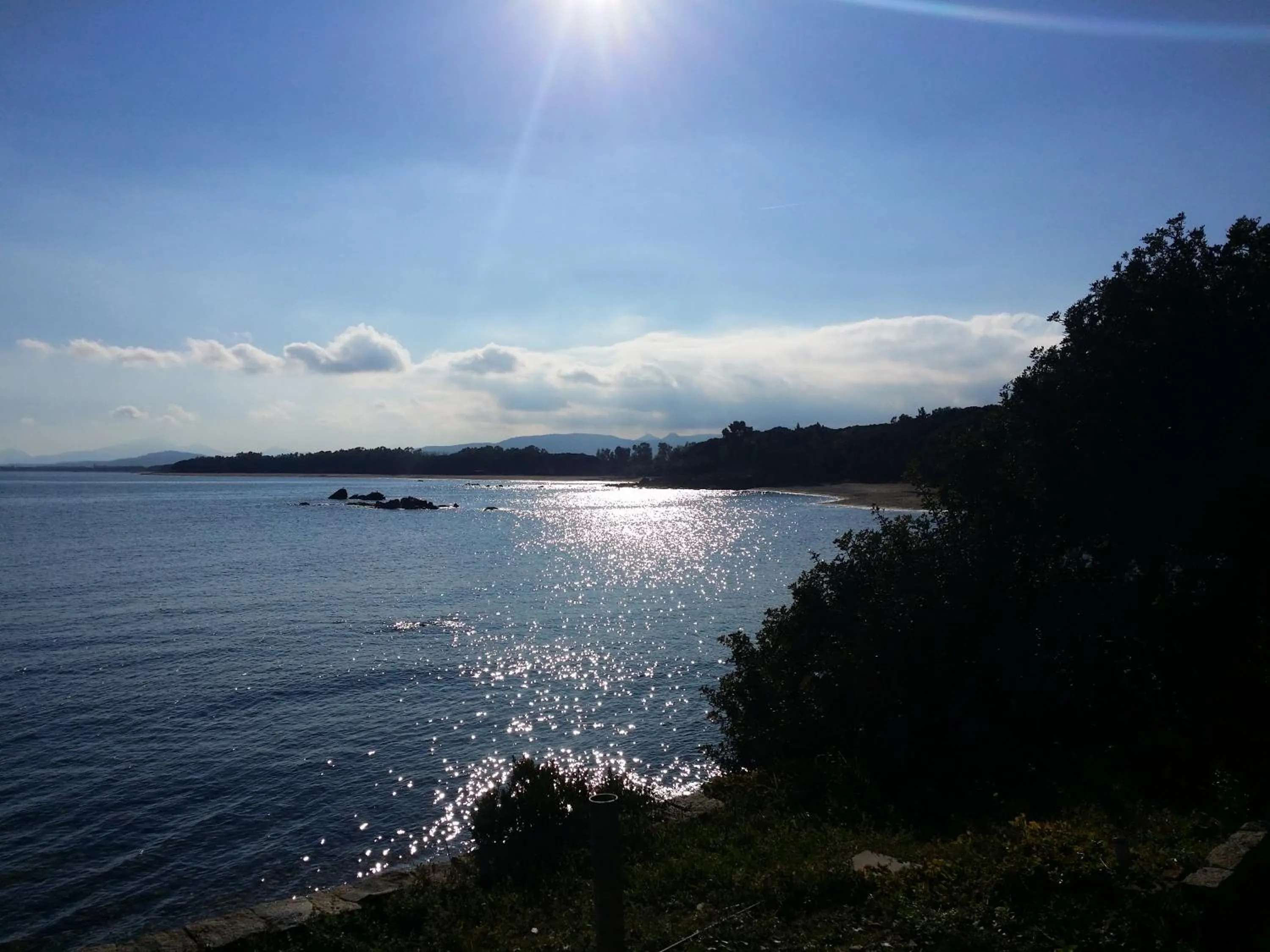 Natural landscape in Hotel Plammas
