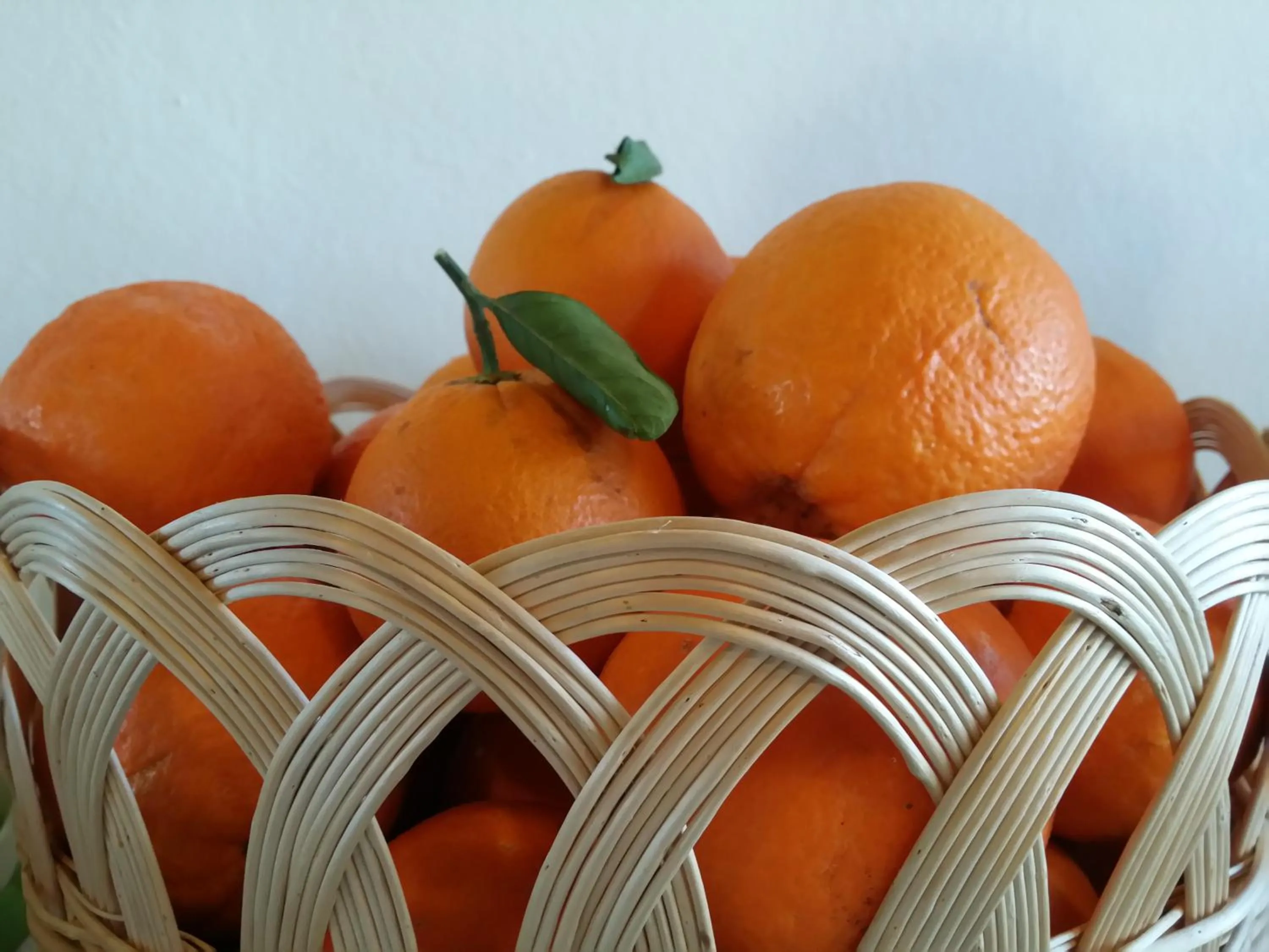 Buffet breakfast in Hotel Plammas