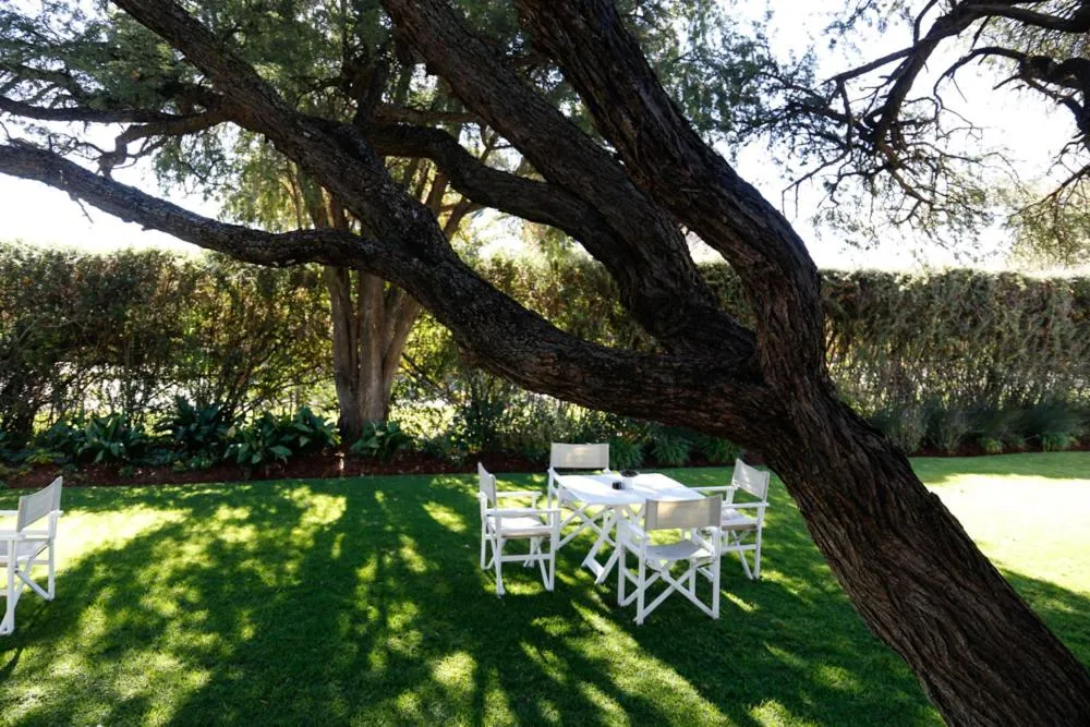 Garden in The Hedge Guesthouse