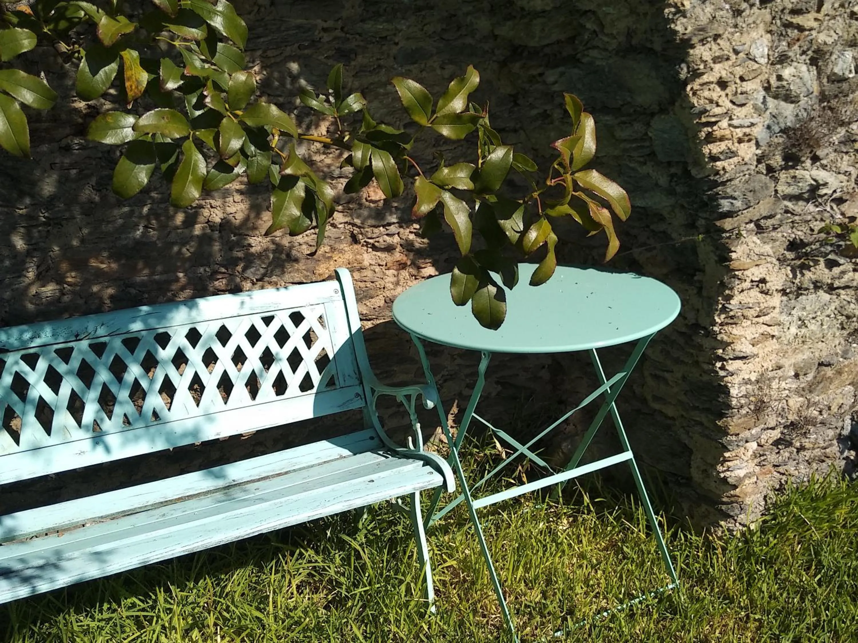 Garden in B&B Casa Gemma