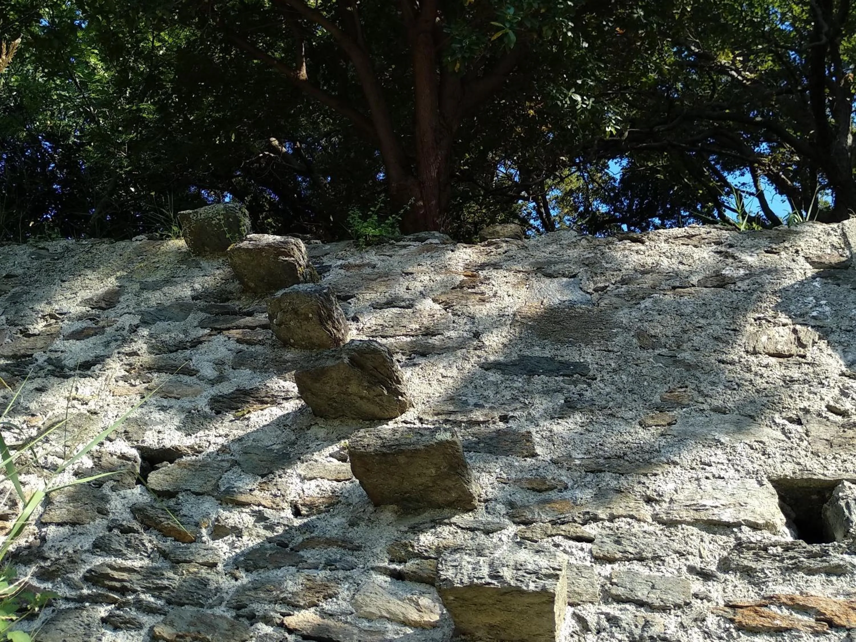 Garden in B&B Casa Gemma