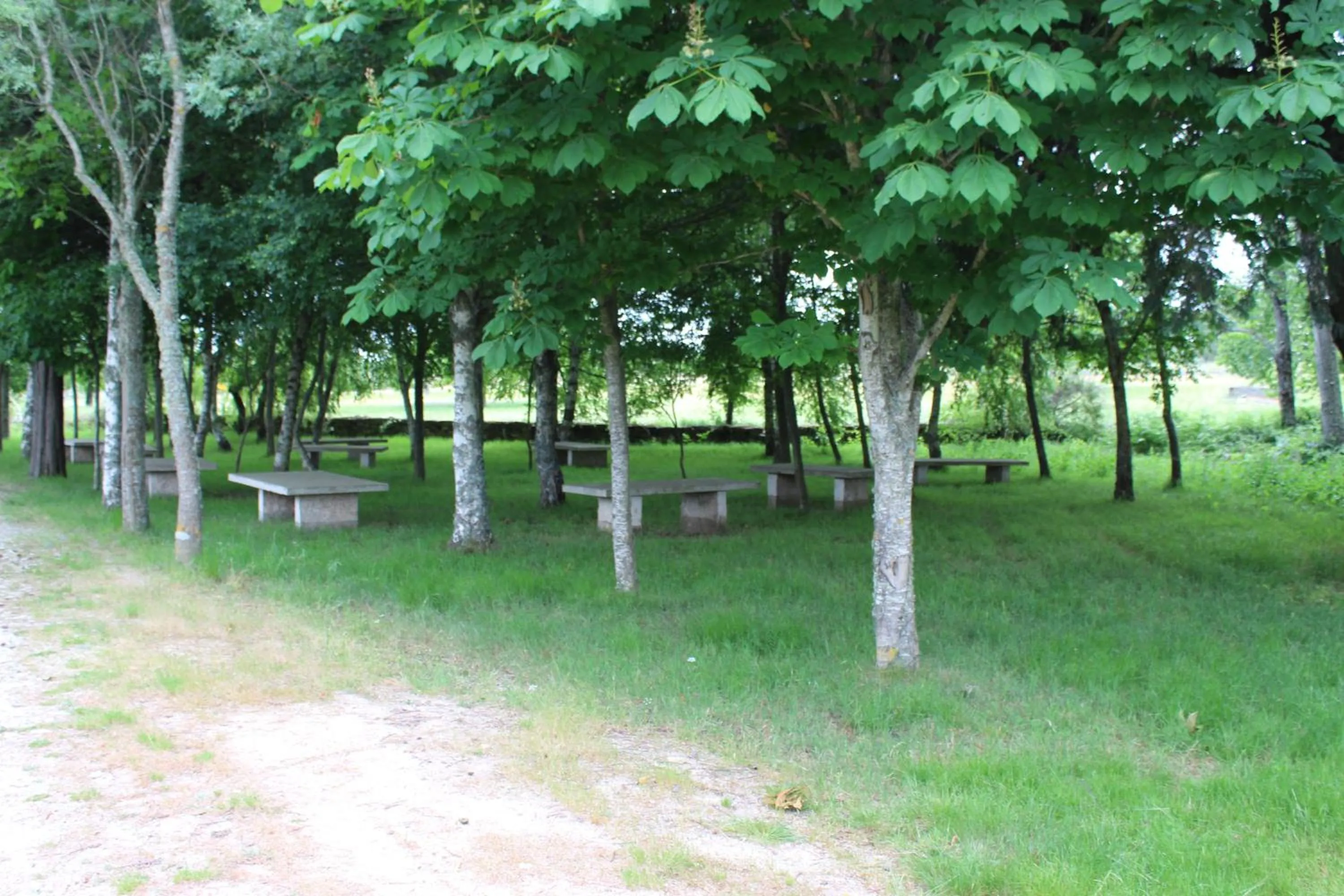 Nearby landmark in Hotel Medieval® de Penedono