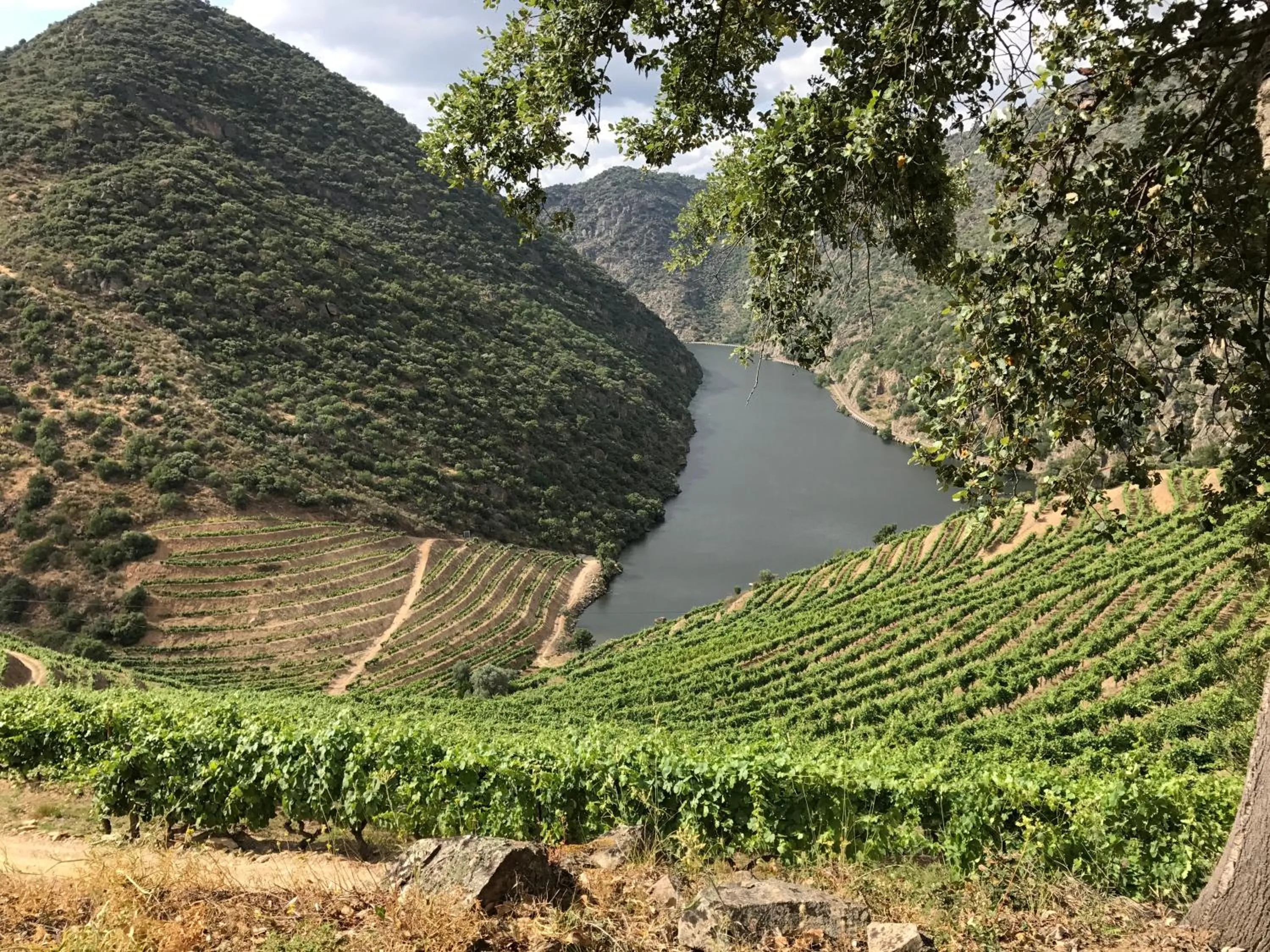 Nearby landmark in Hotel Medieval® de Penedono