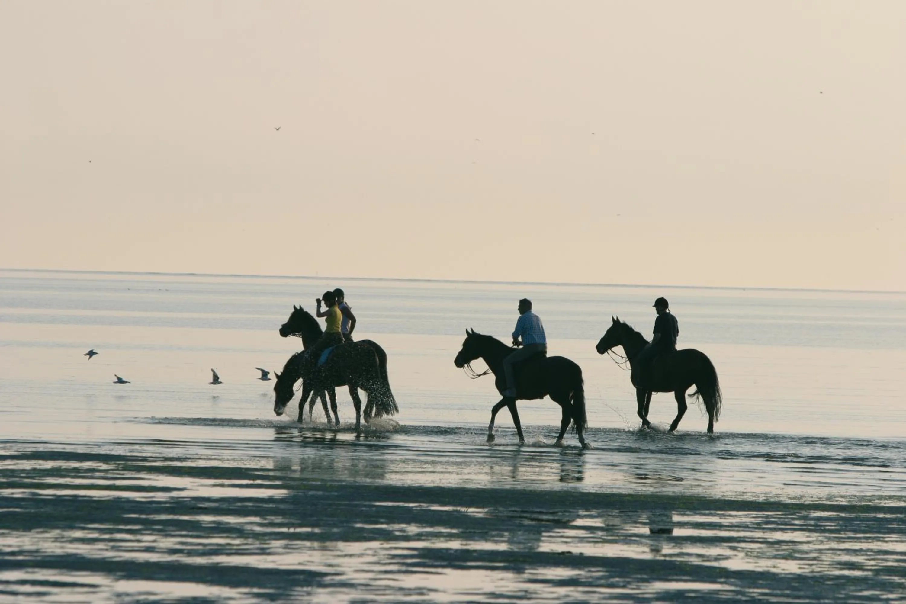 Area and facilities in Bed & Breakfast Van Marion