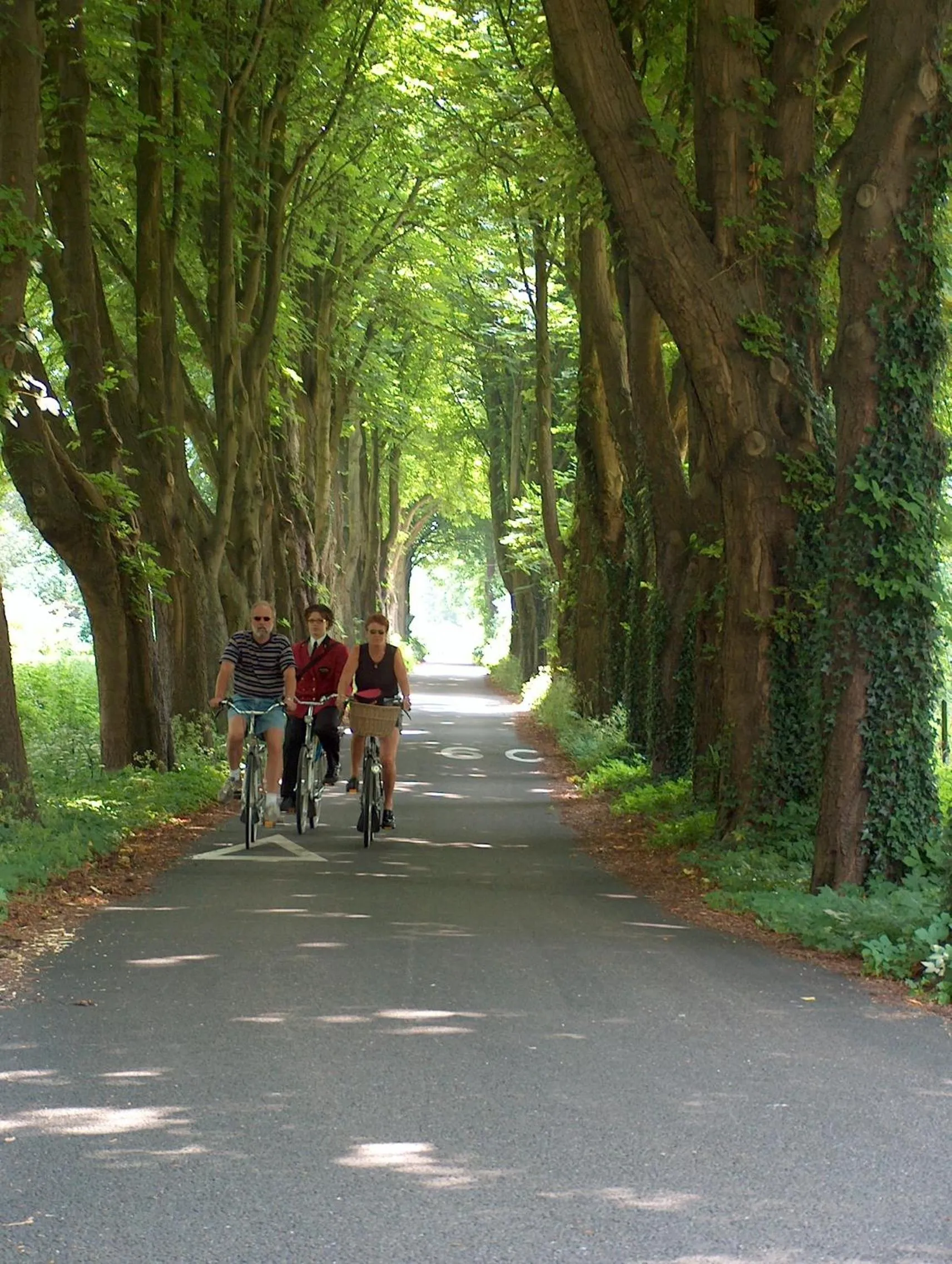 Area and facilities in Bed & Breakfast Van Marion