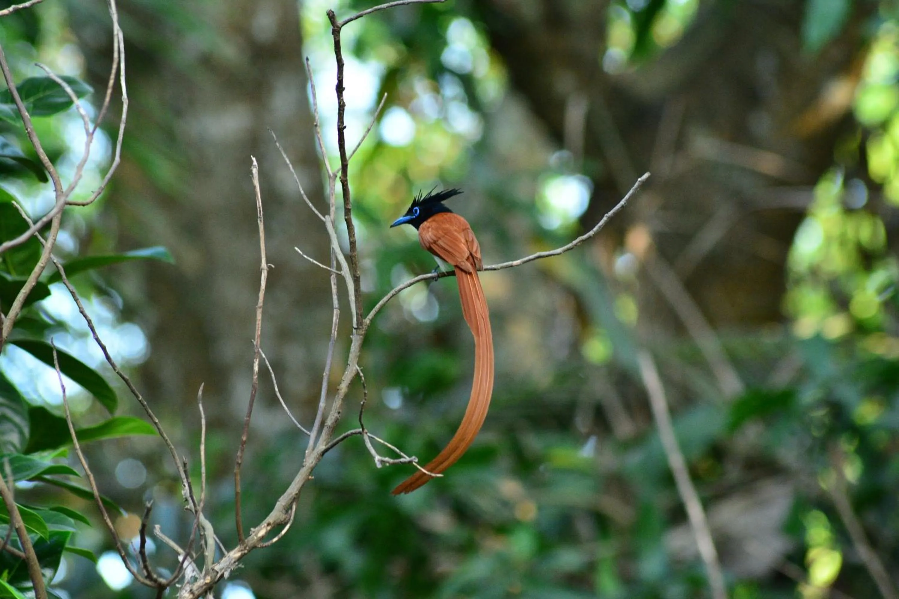 Area and facilities in Treasure House Tourist Rest