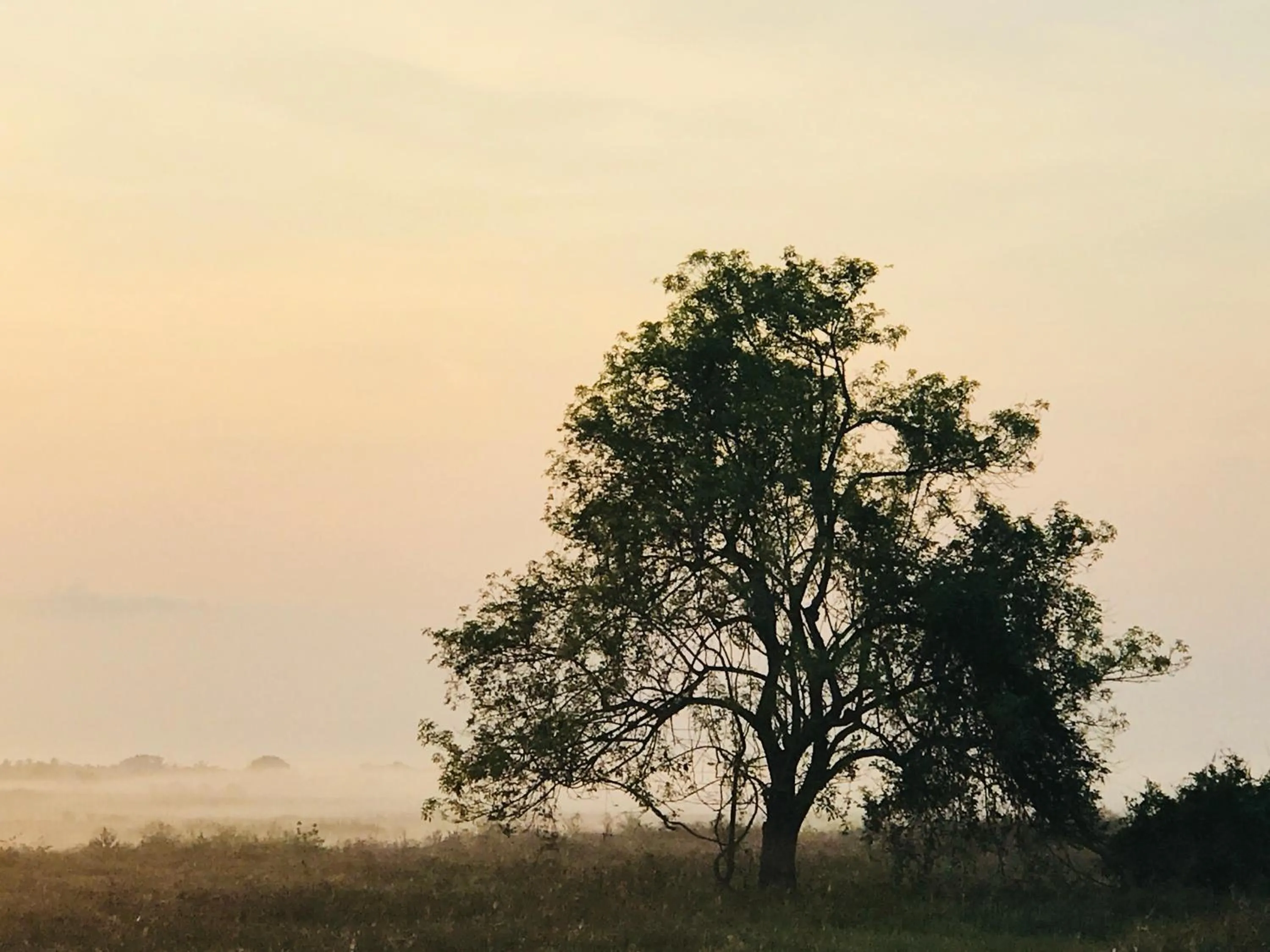 Nearby landmark in Treasure House Tourist Rest