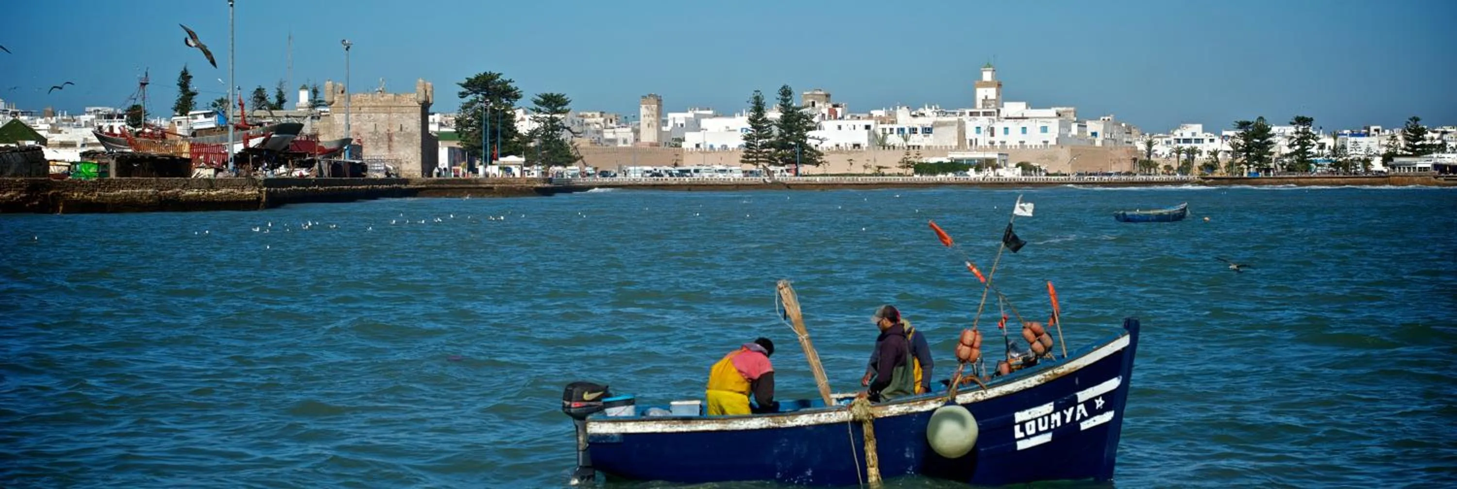 Activities in Riad Dar L'Oussia & SPA