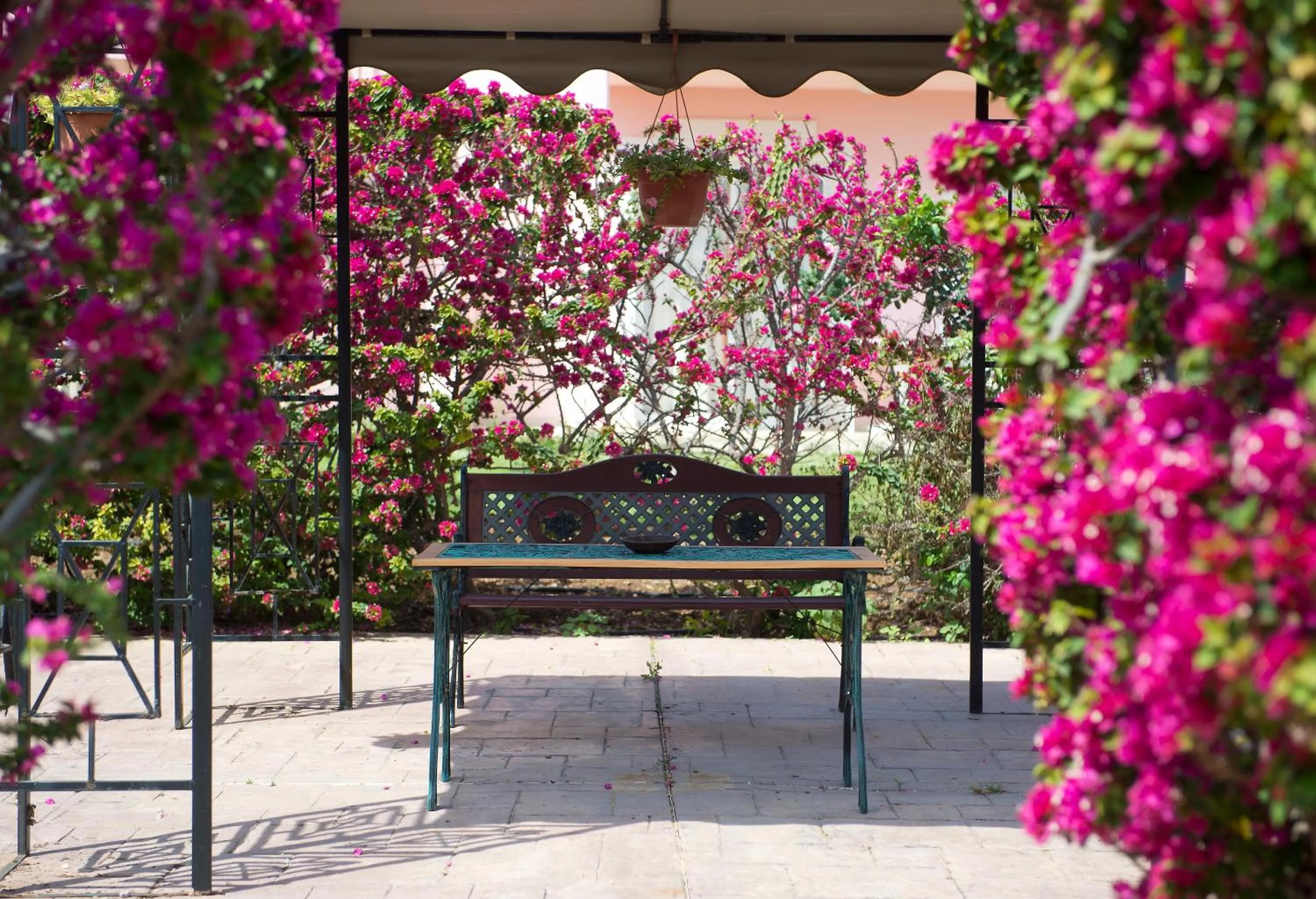 Day in Akamanthea Holiday Village