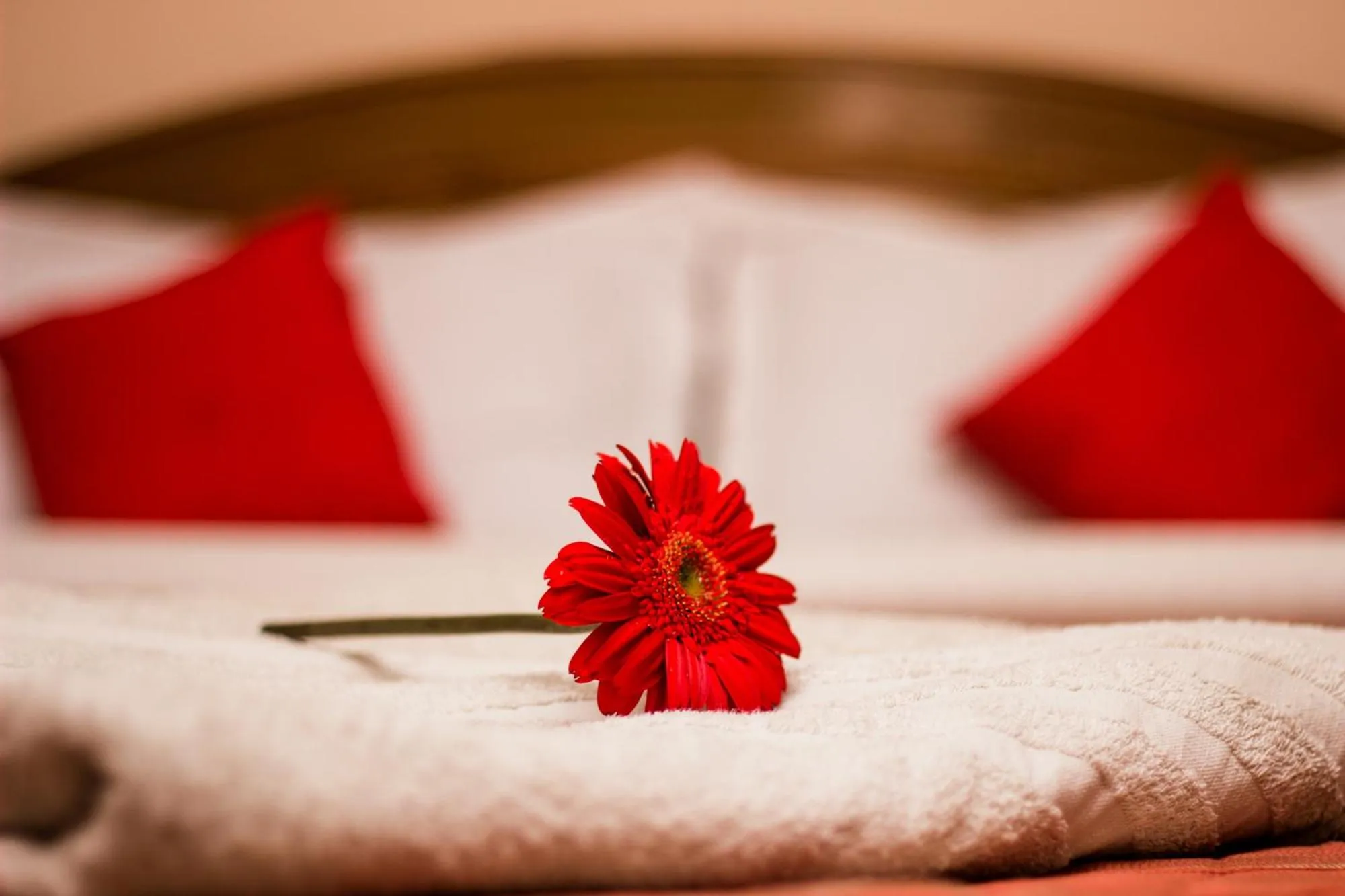 Shower, Bed in Hotel Kamal