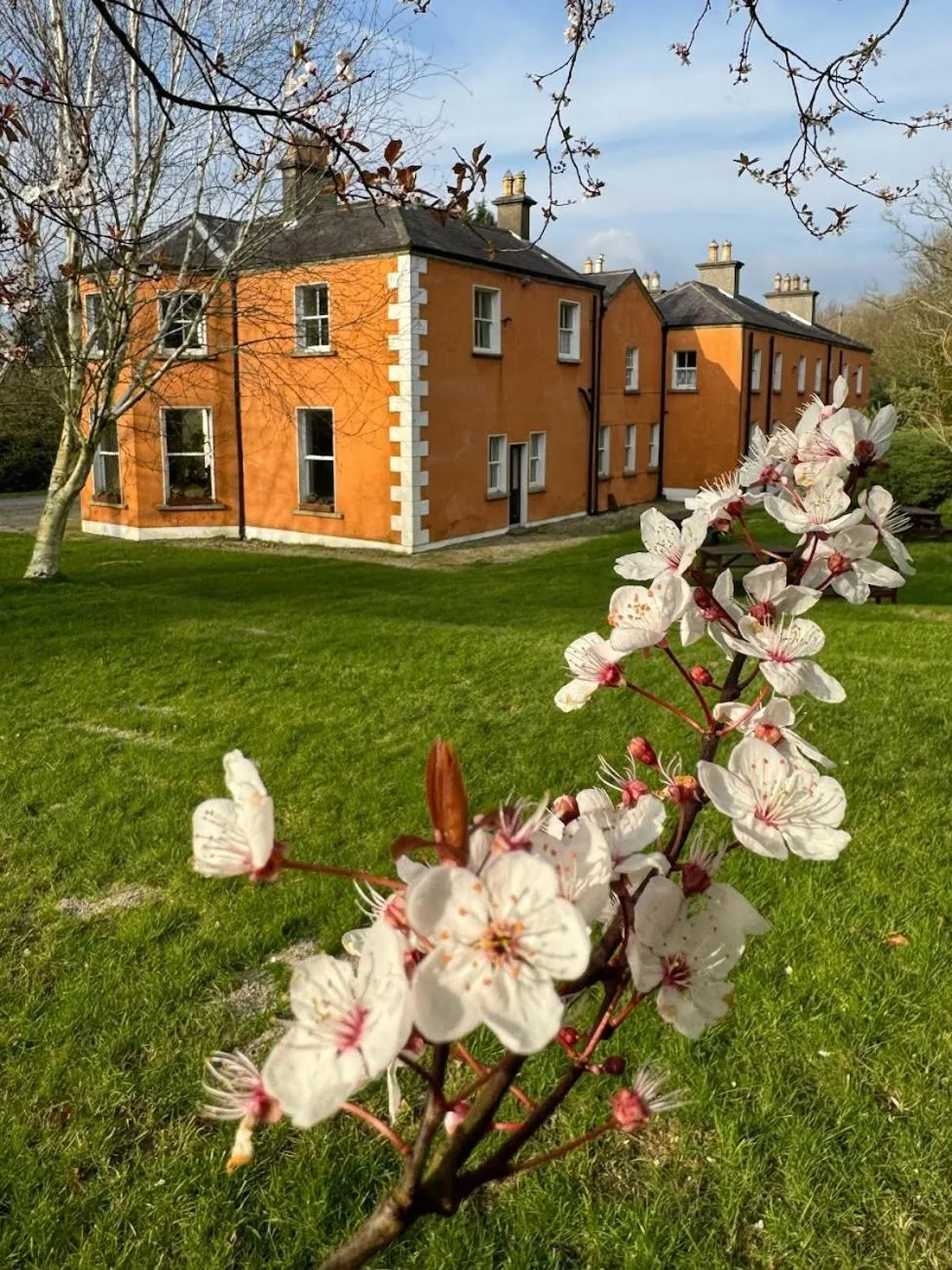 Clone House Event Villa