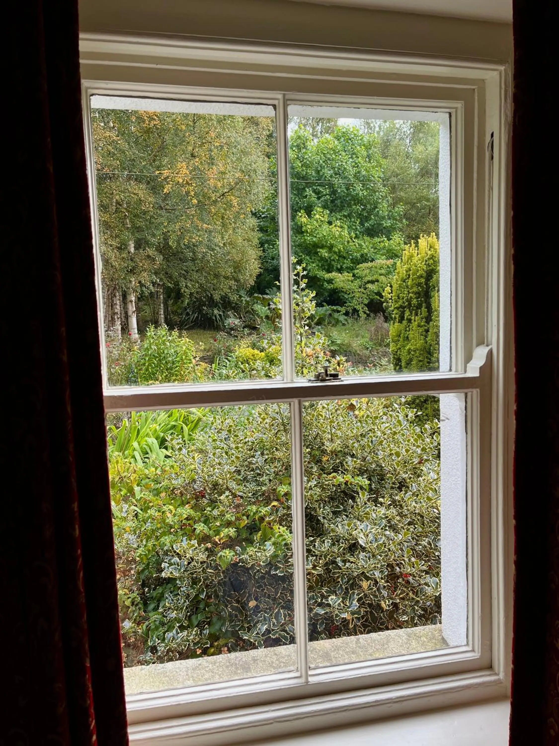 Garden view in Clone House Event Villa