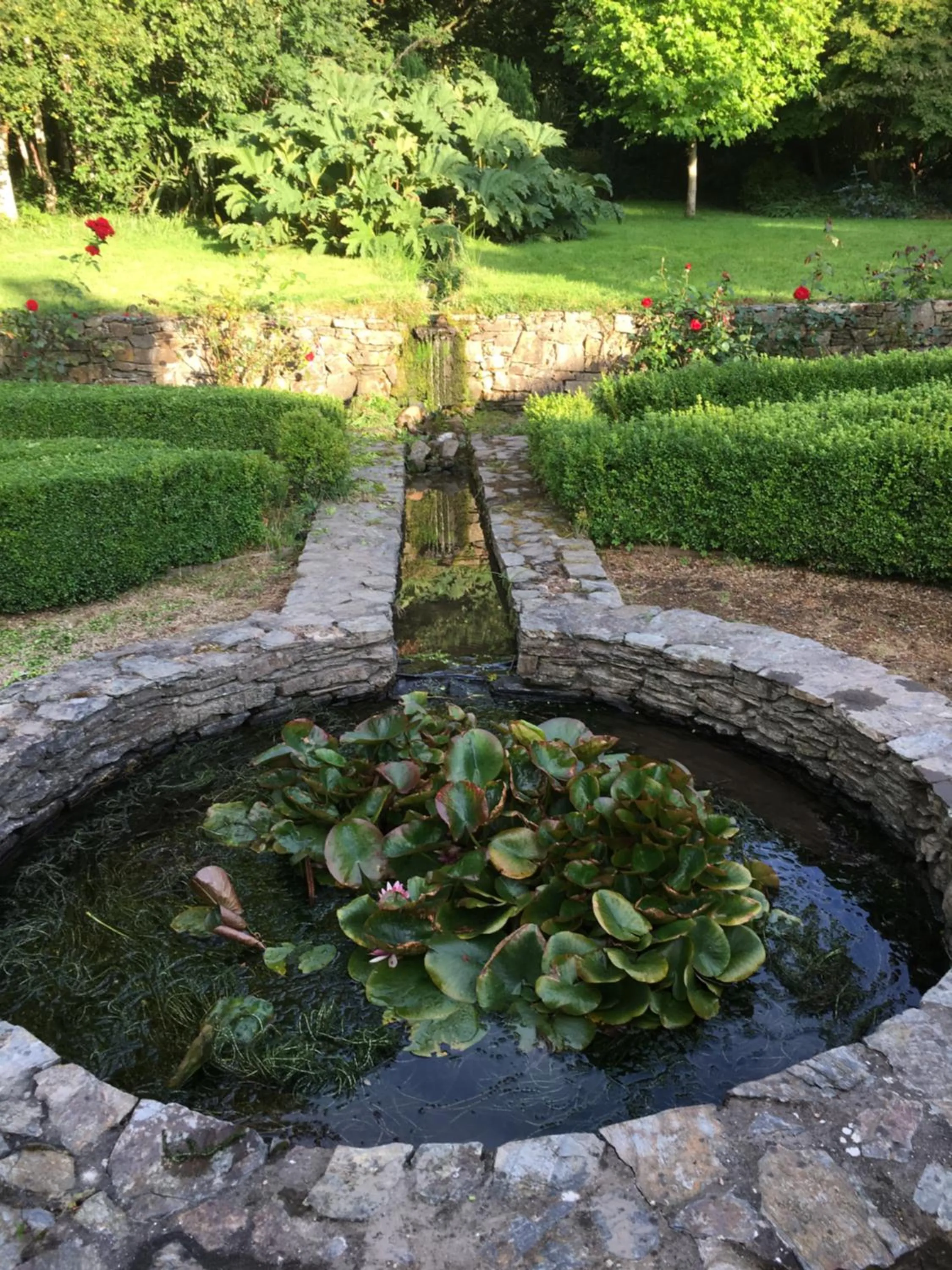 Garden in Clone House Event Villa