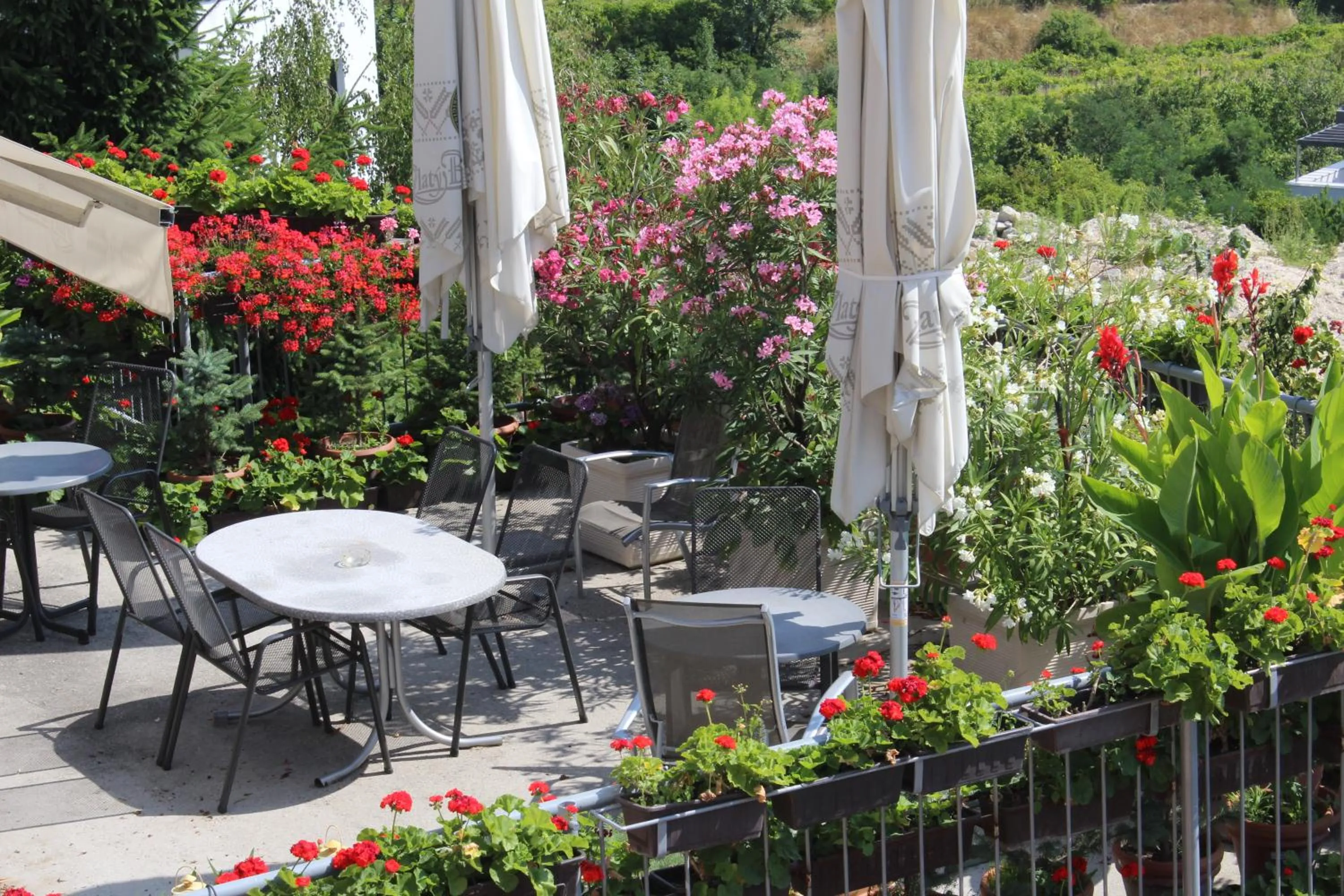 Balcony/Terrace in Pension Zlata Noha