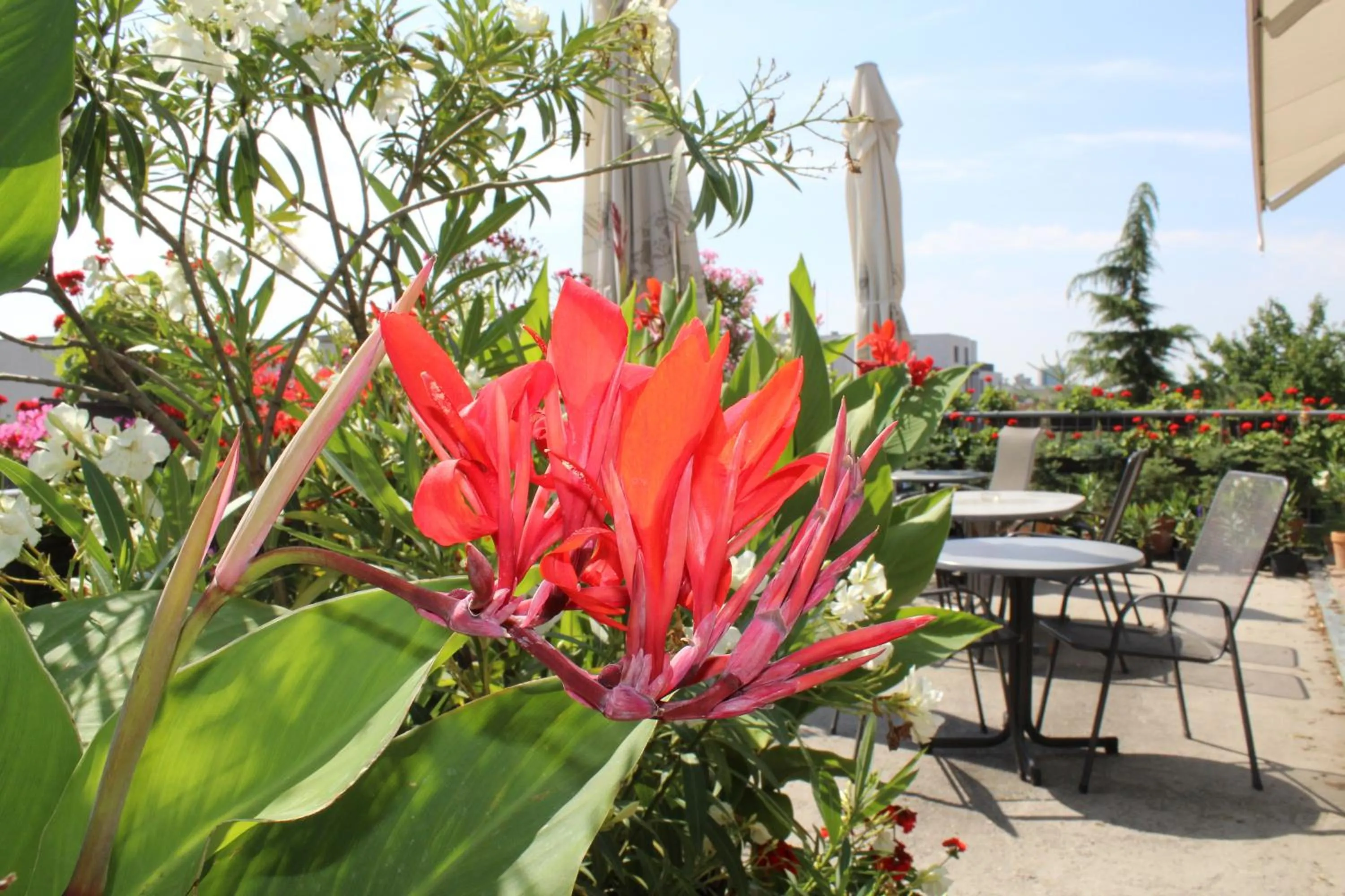 Summer in Pension Zlata Noha