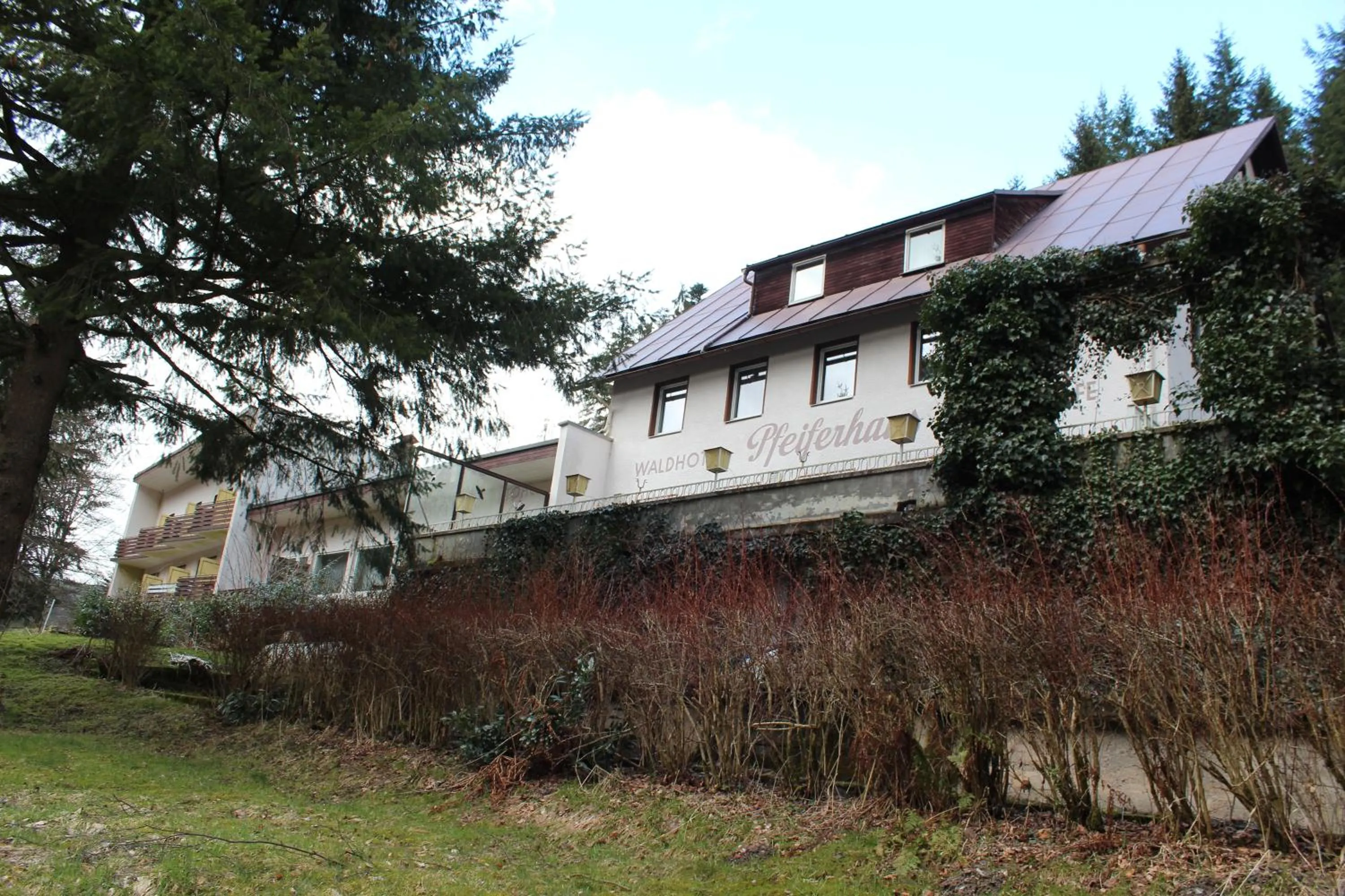 Property building in Waldpension Pfeiferhaus
