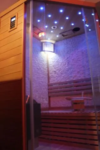 Sauna in Waldpension Pfeiferhaus