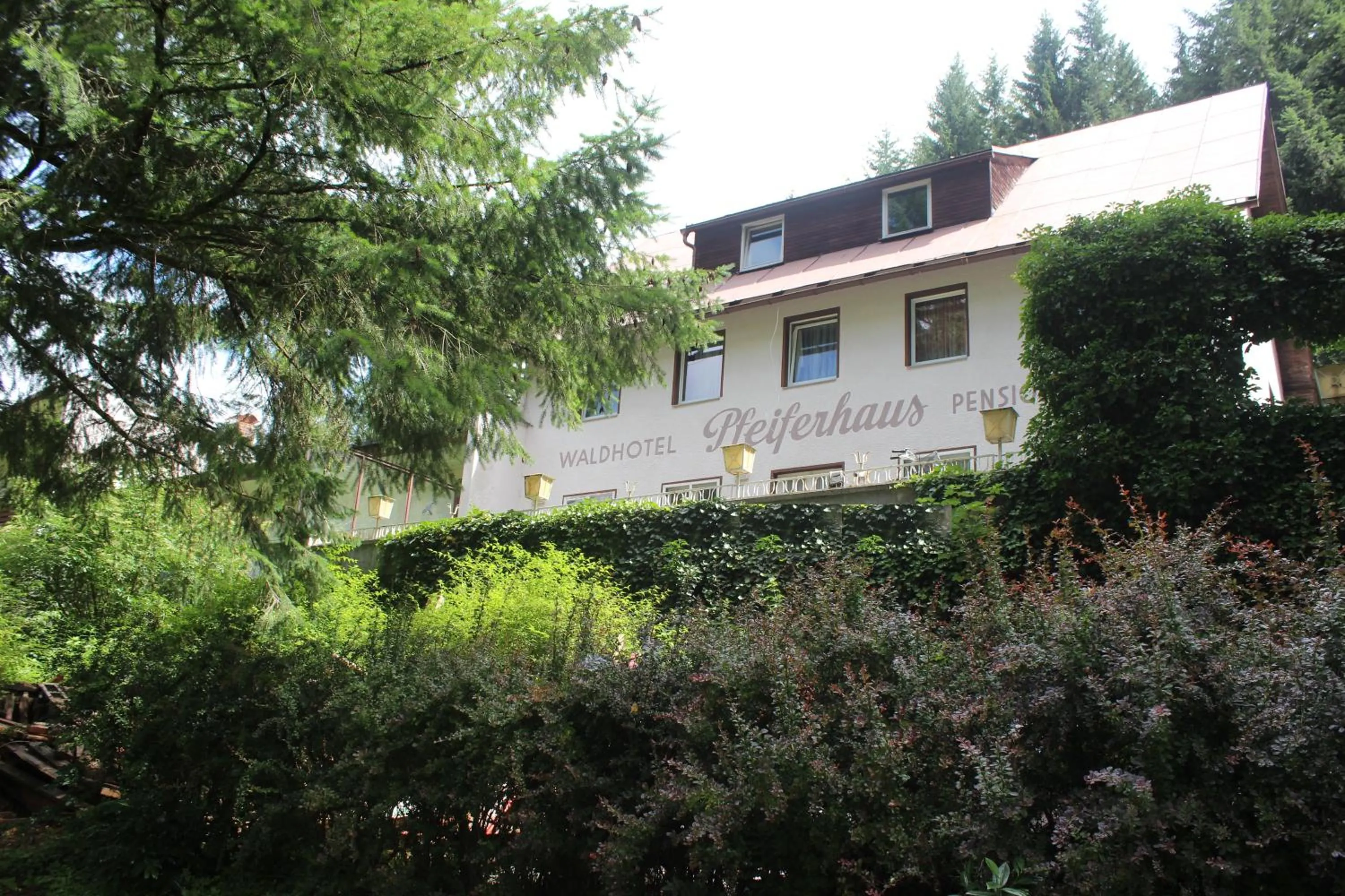 Property building in Waldpension Pfeiferhaus