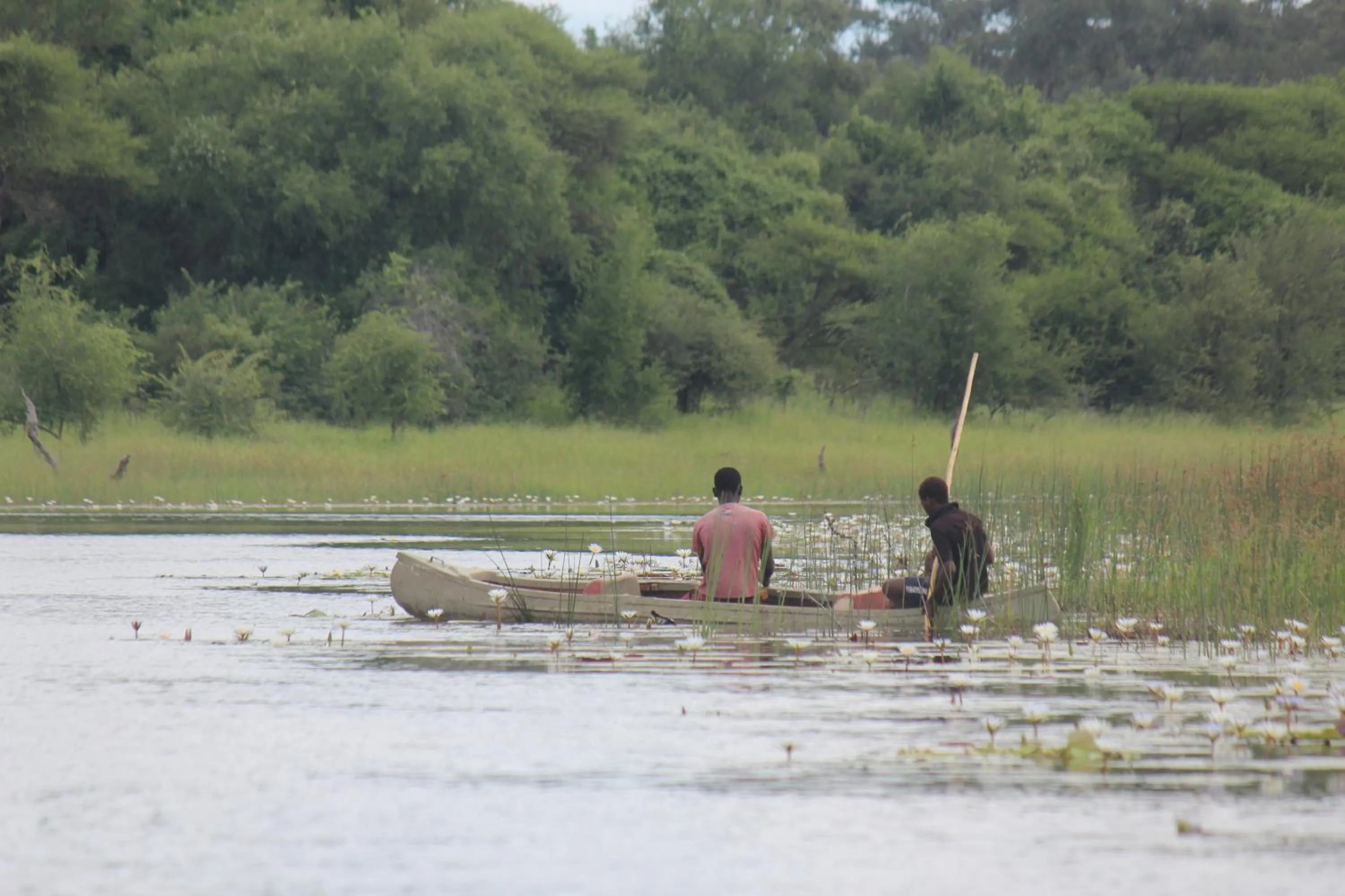 Fishing in Cresta Maun Hotel