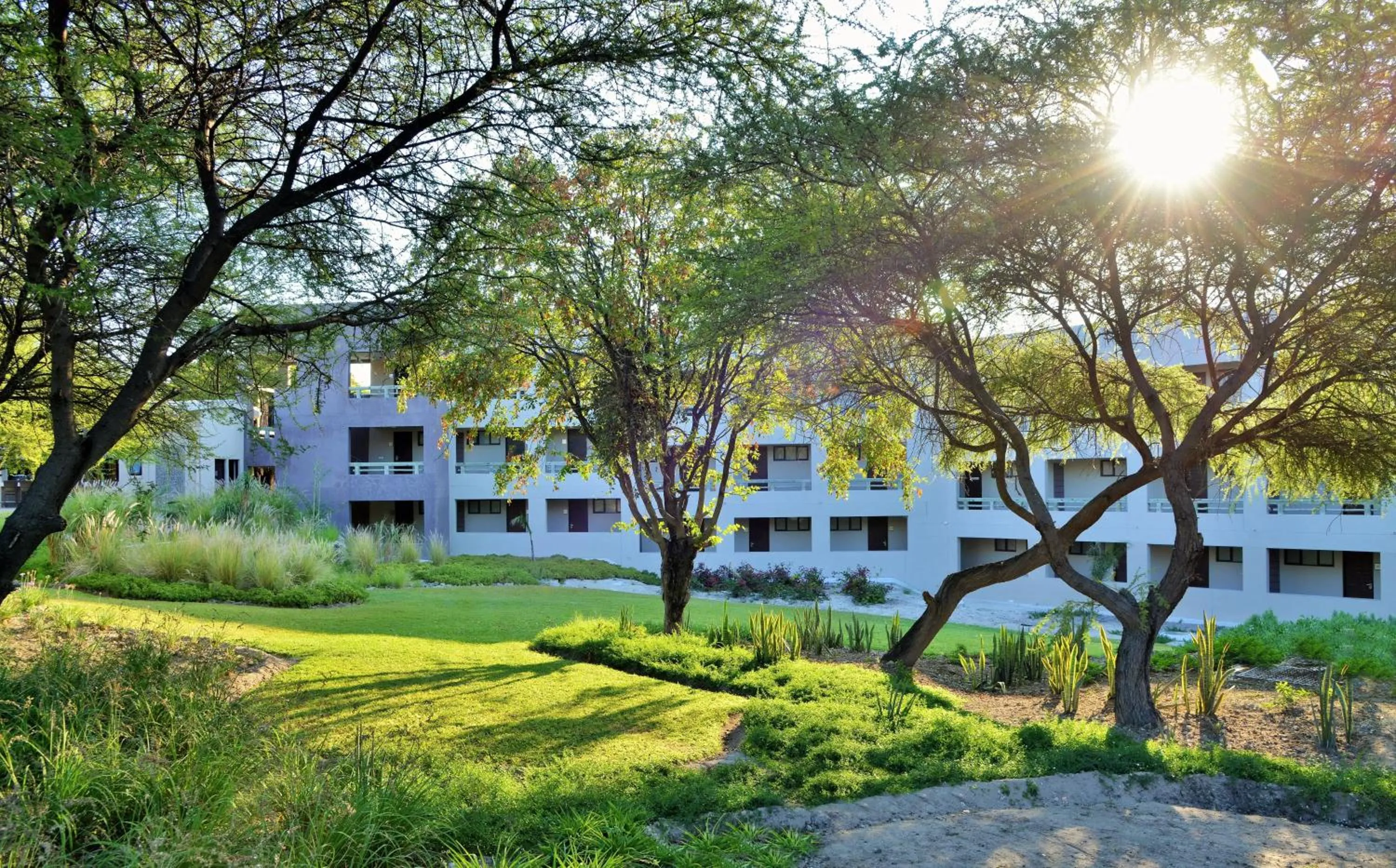 Garden in Cresta Maun Hotel