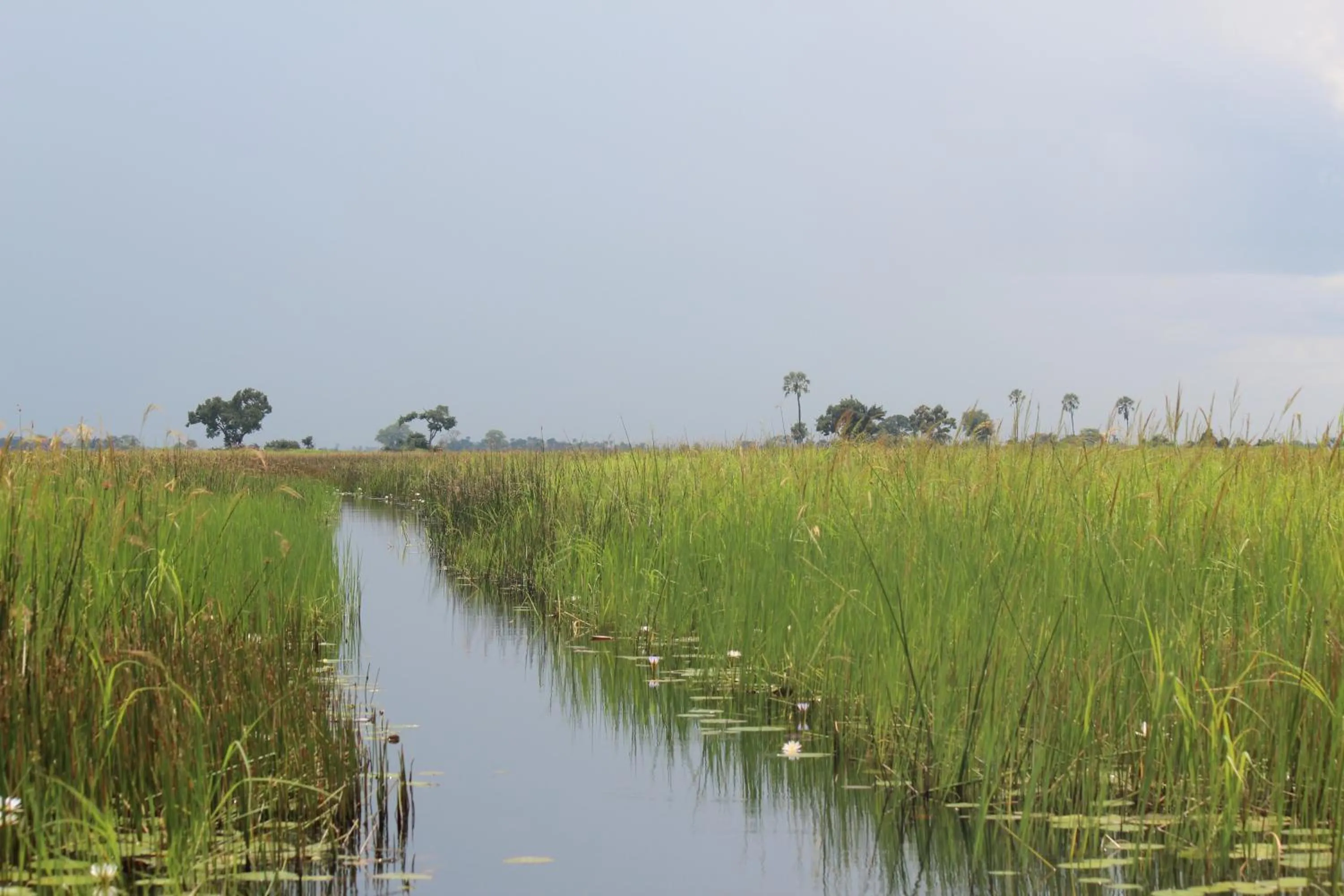 River view in Cresta Maun Hotel