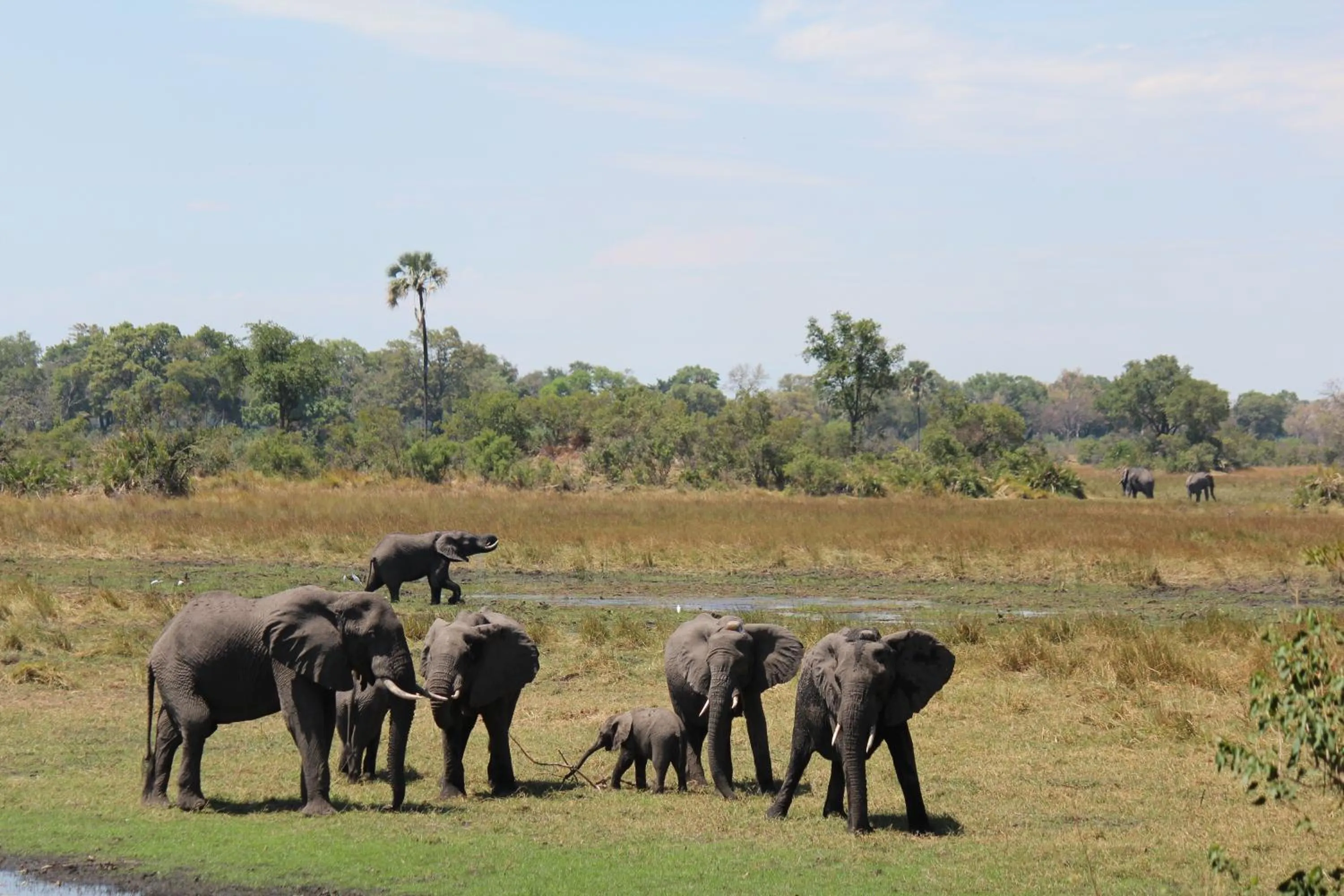 On site in Cresta Maun Hotel