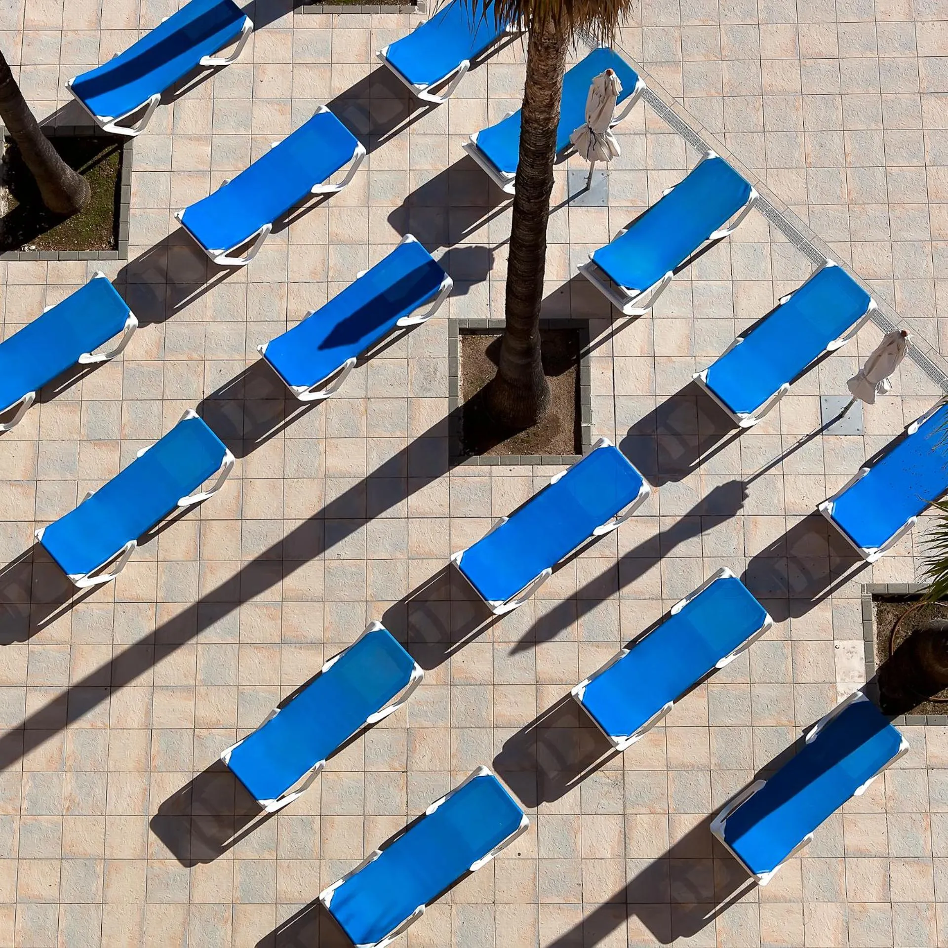 Bird's eye view in Pineda Park