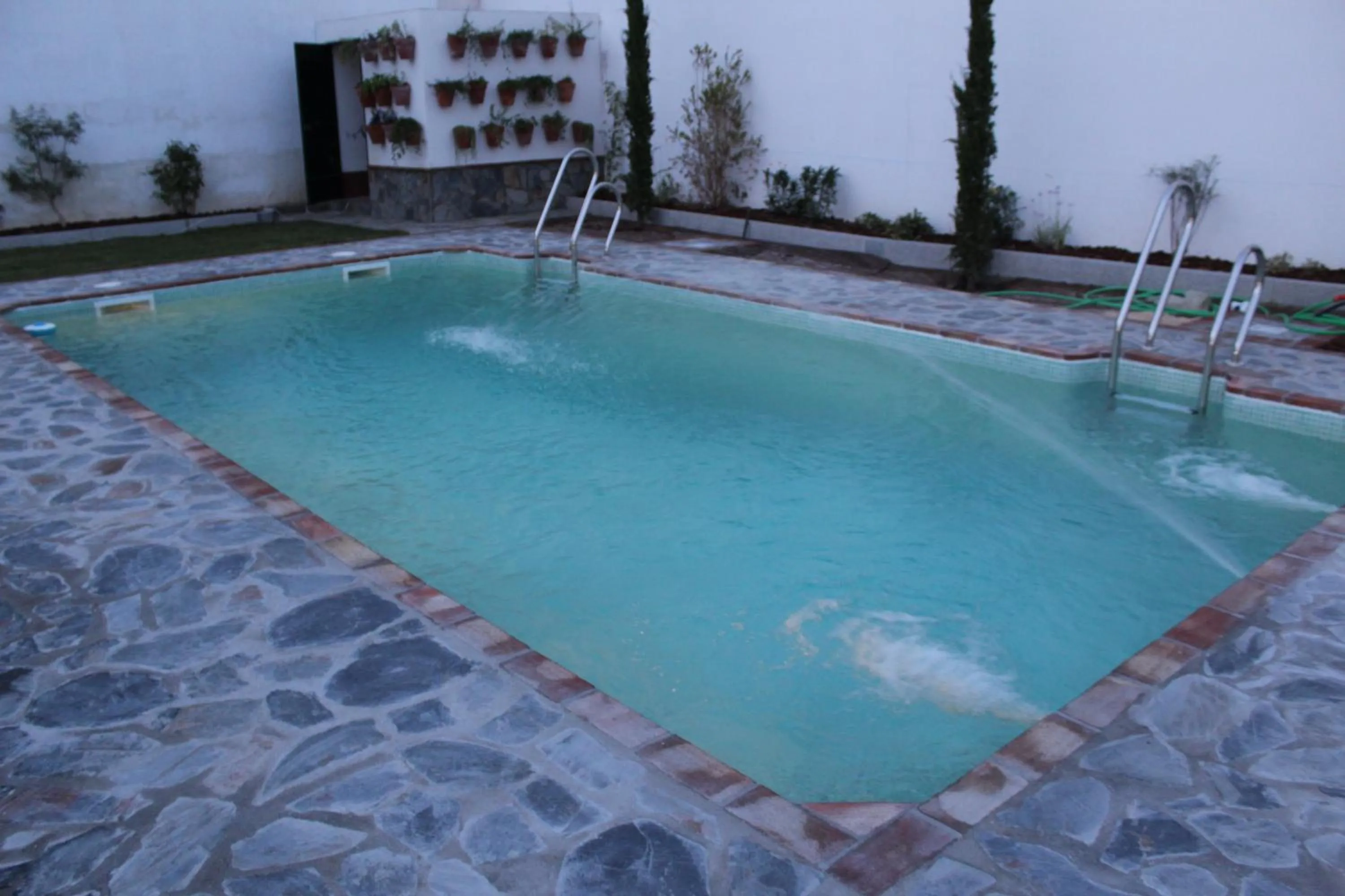 Swimming pool in Hotel Entreolivos