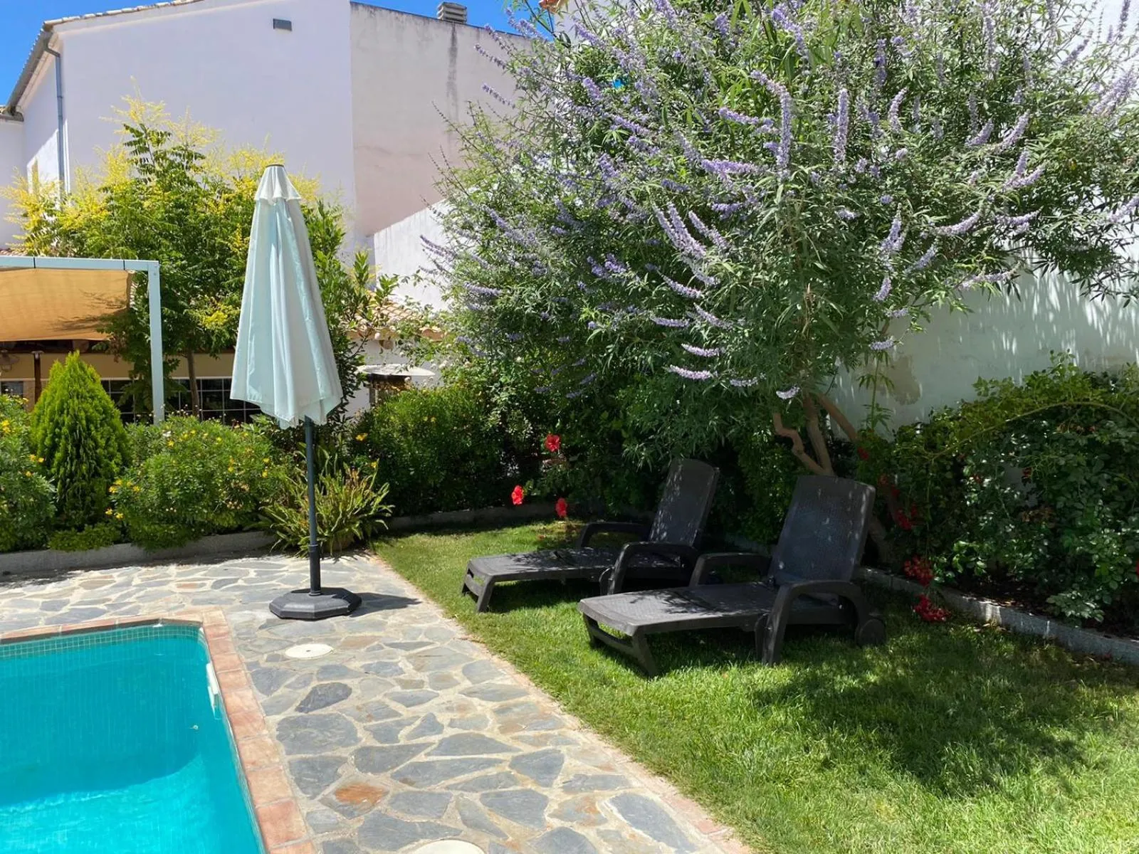 Garden in Hotel Entreolivos