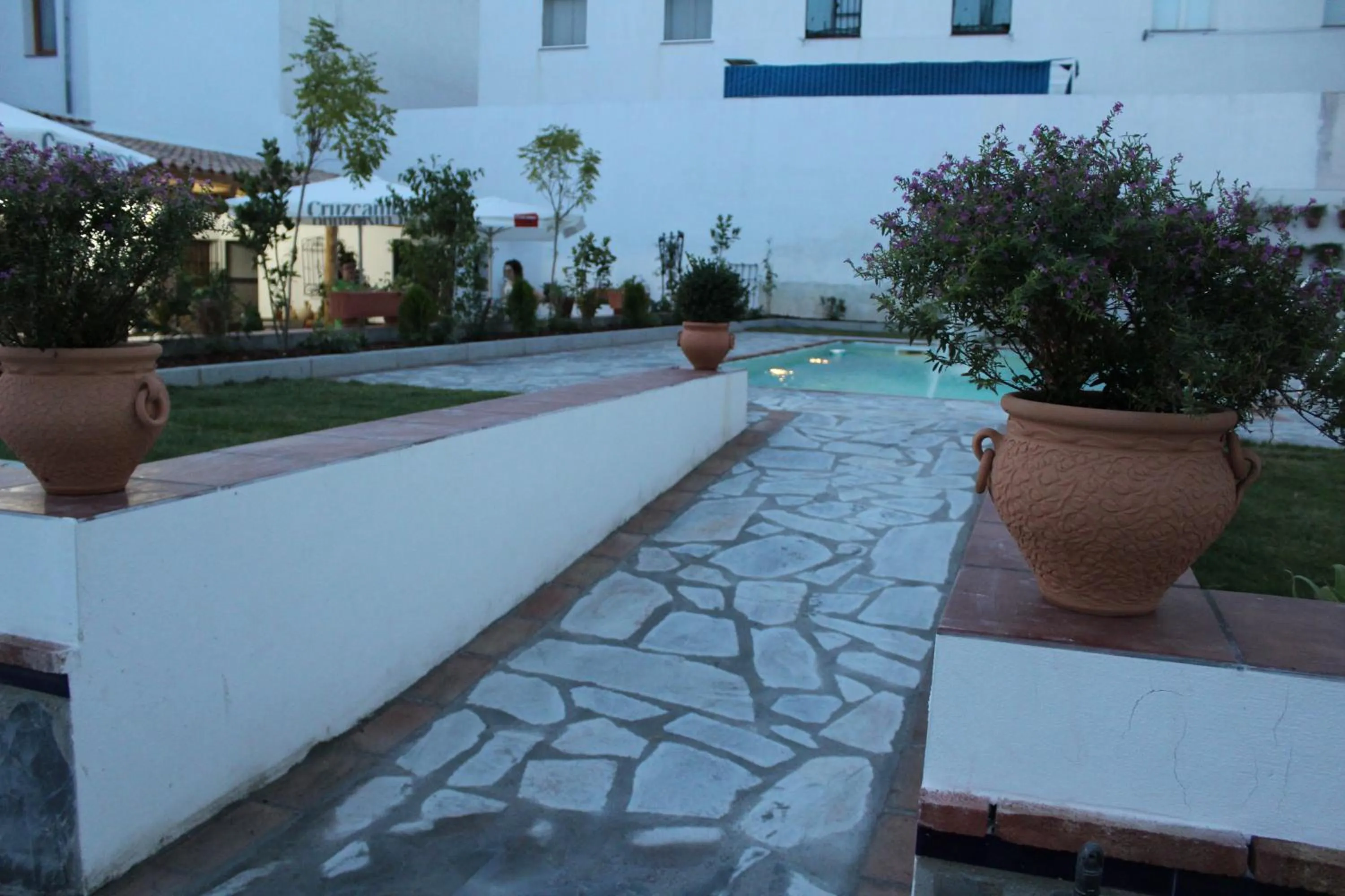 Swimming pool in Hotel Entreolivos