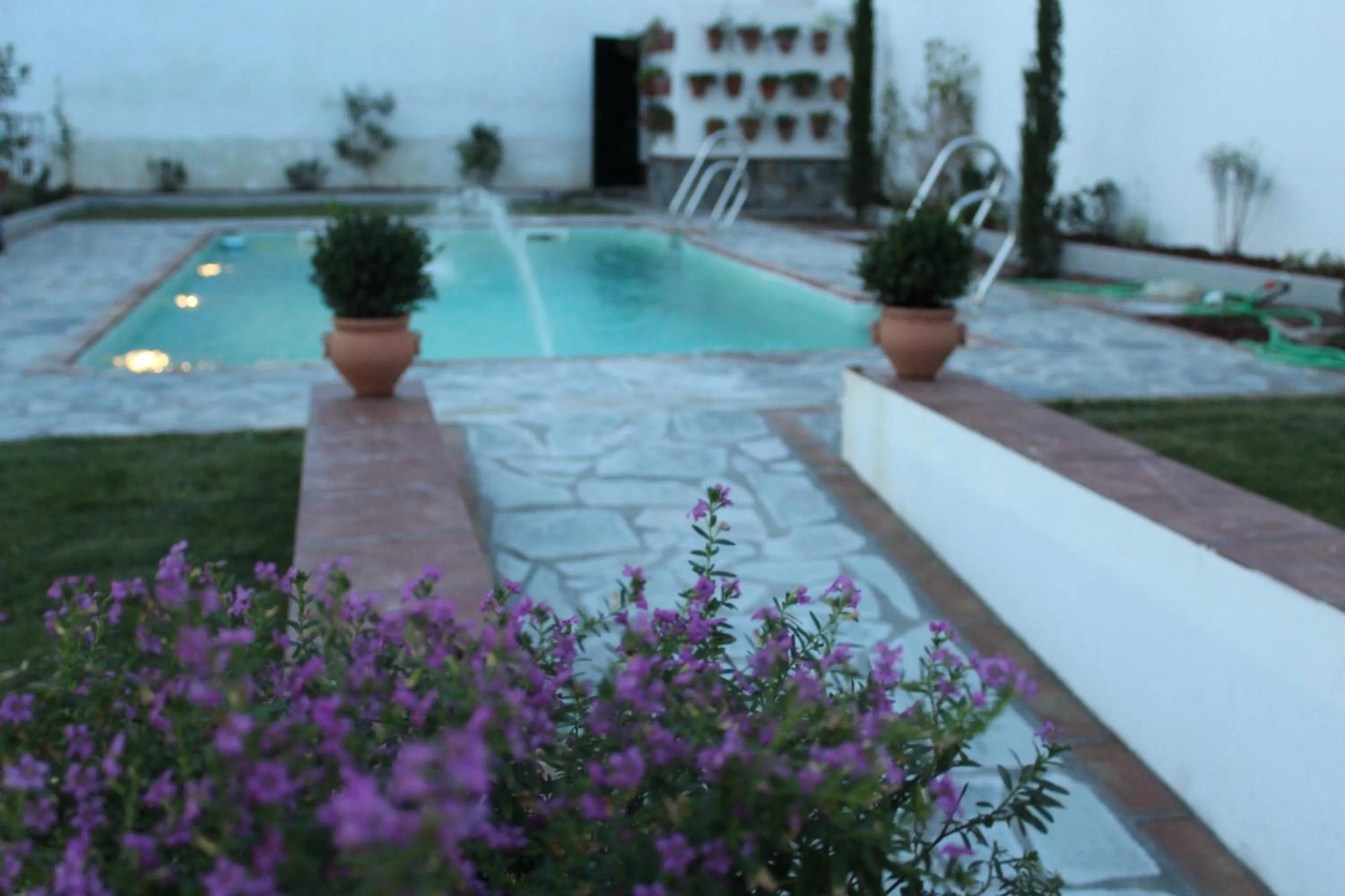 Swimming pool in Hotel Entreolivos