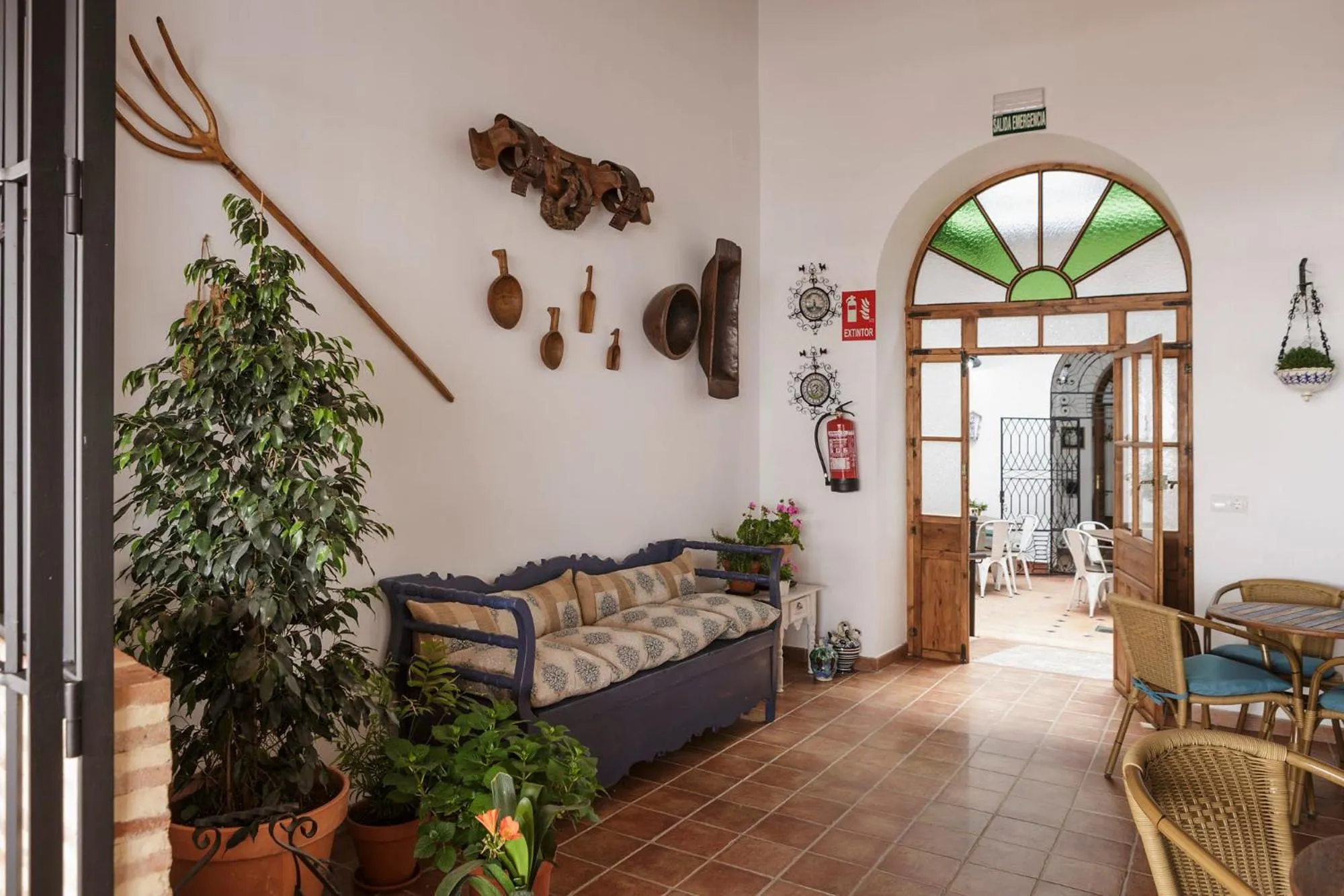 Area and facilities in Hotel Entreolivos