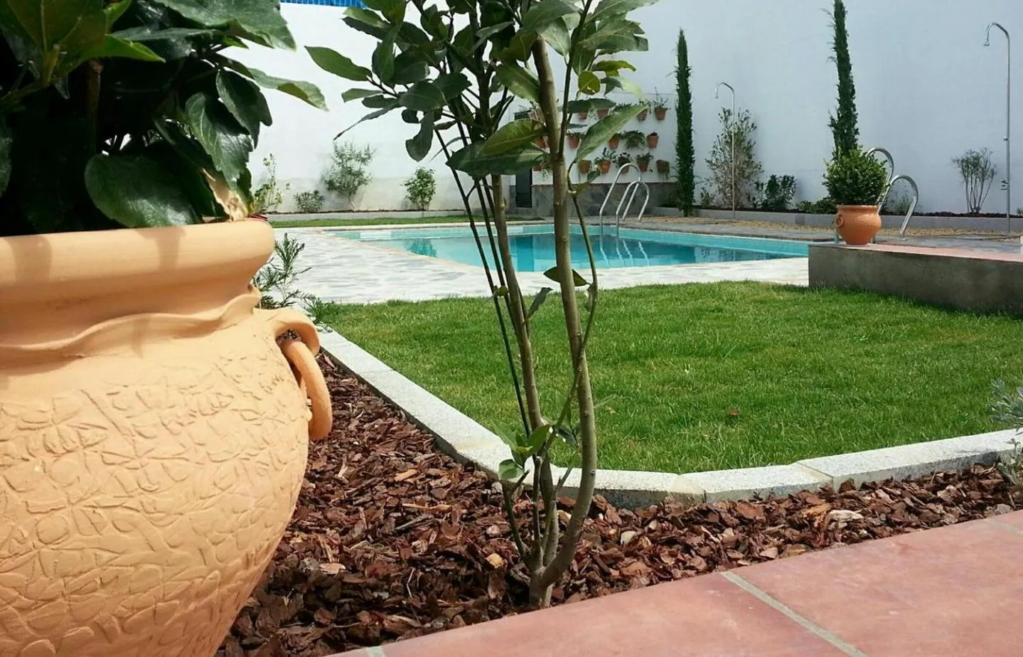 Swimming pool in Hotel Entreolivos
