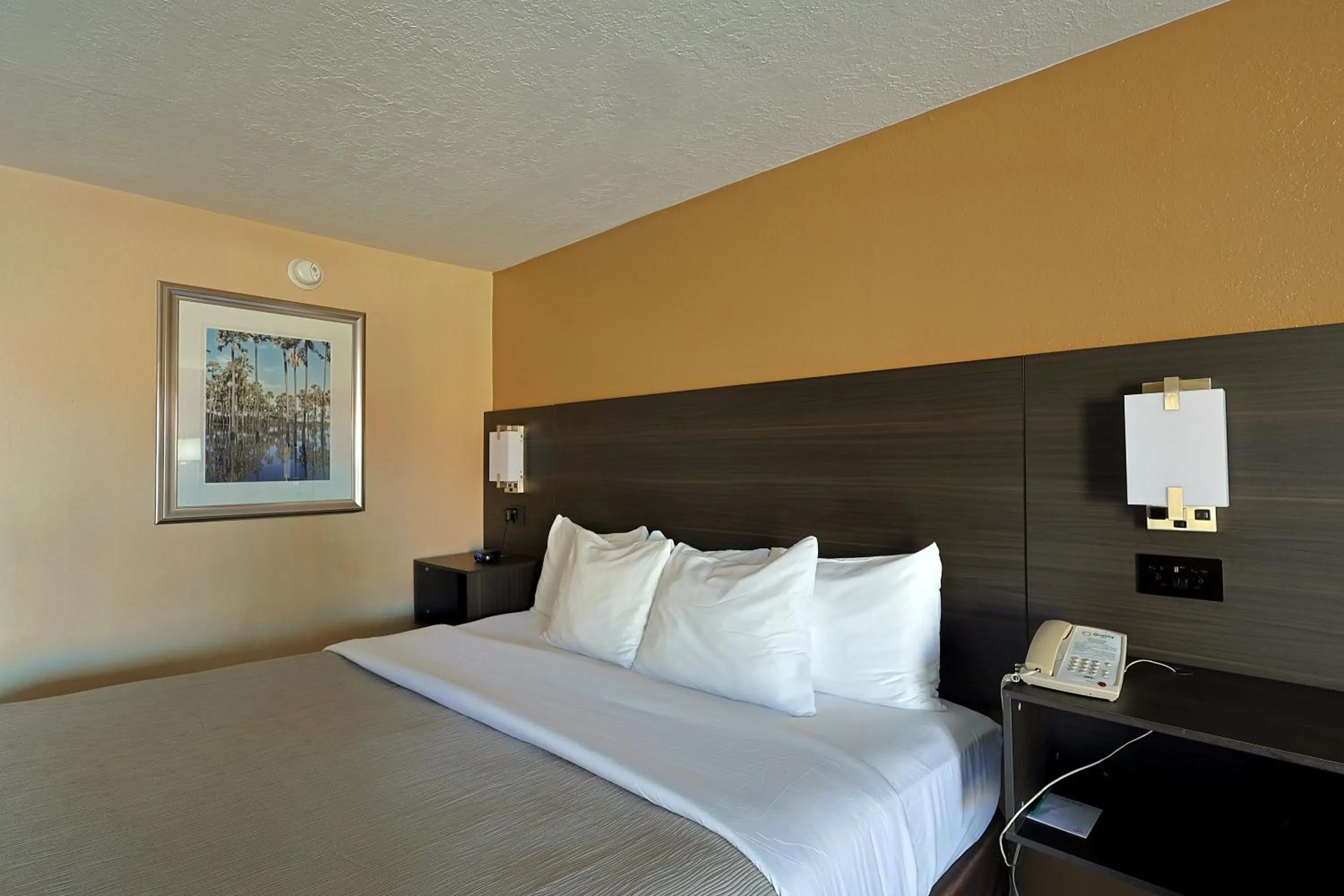 Bed in Quality Inn Kennedy Space Center