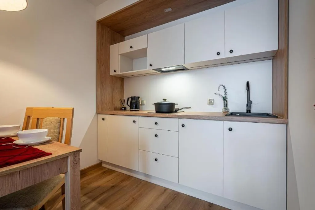 Kitchen or kitchenette in Pensjonat Dawidek